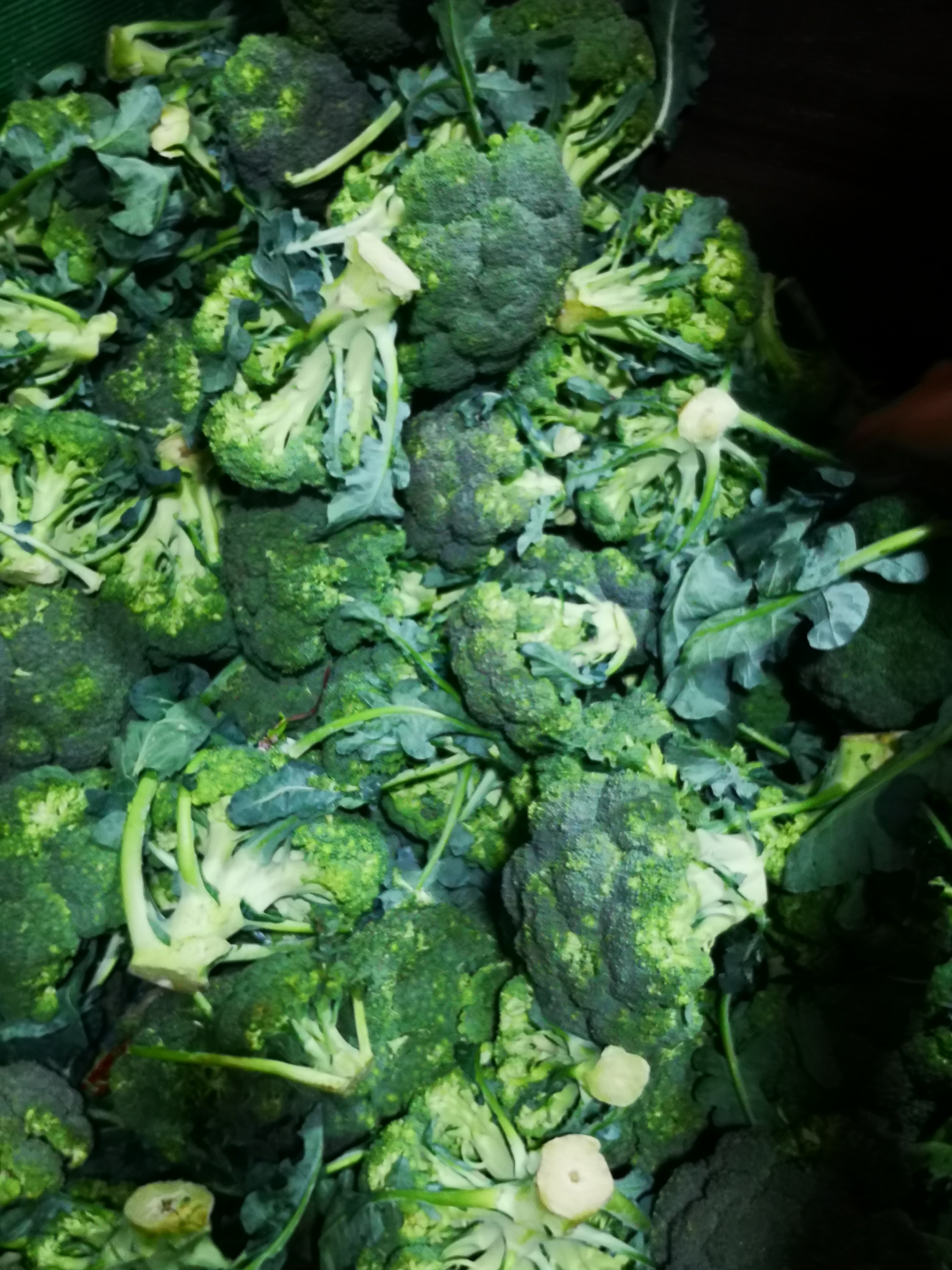 Brócoli