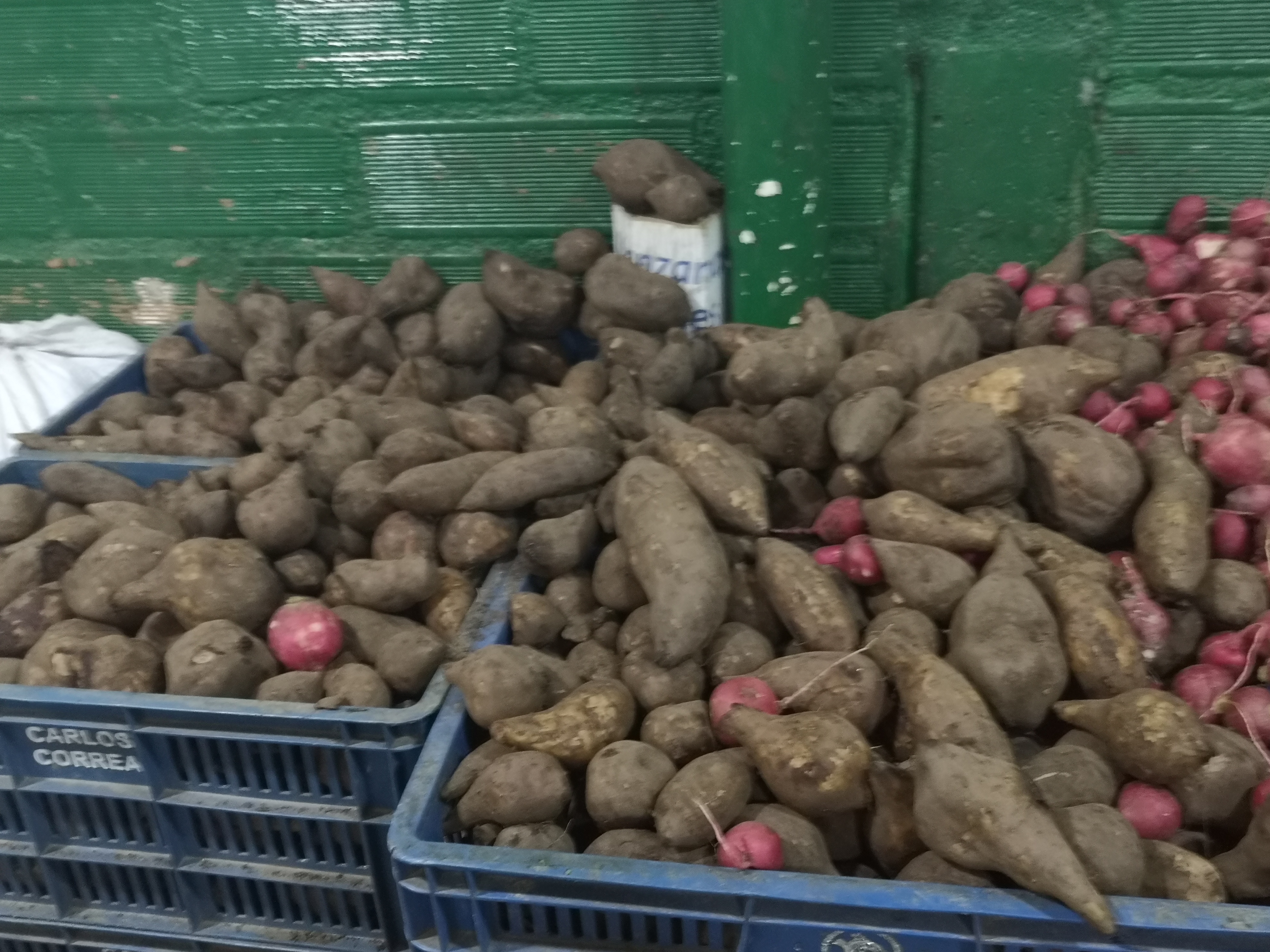Yacón Fruta