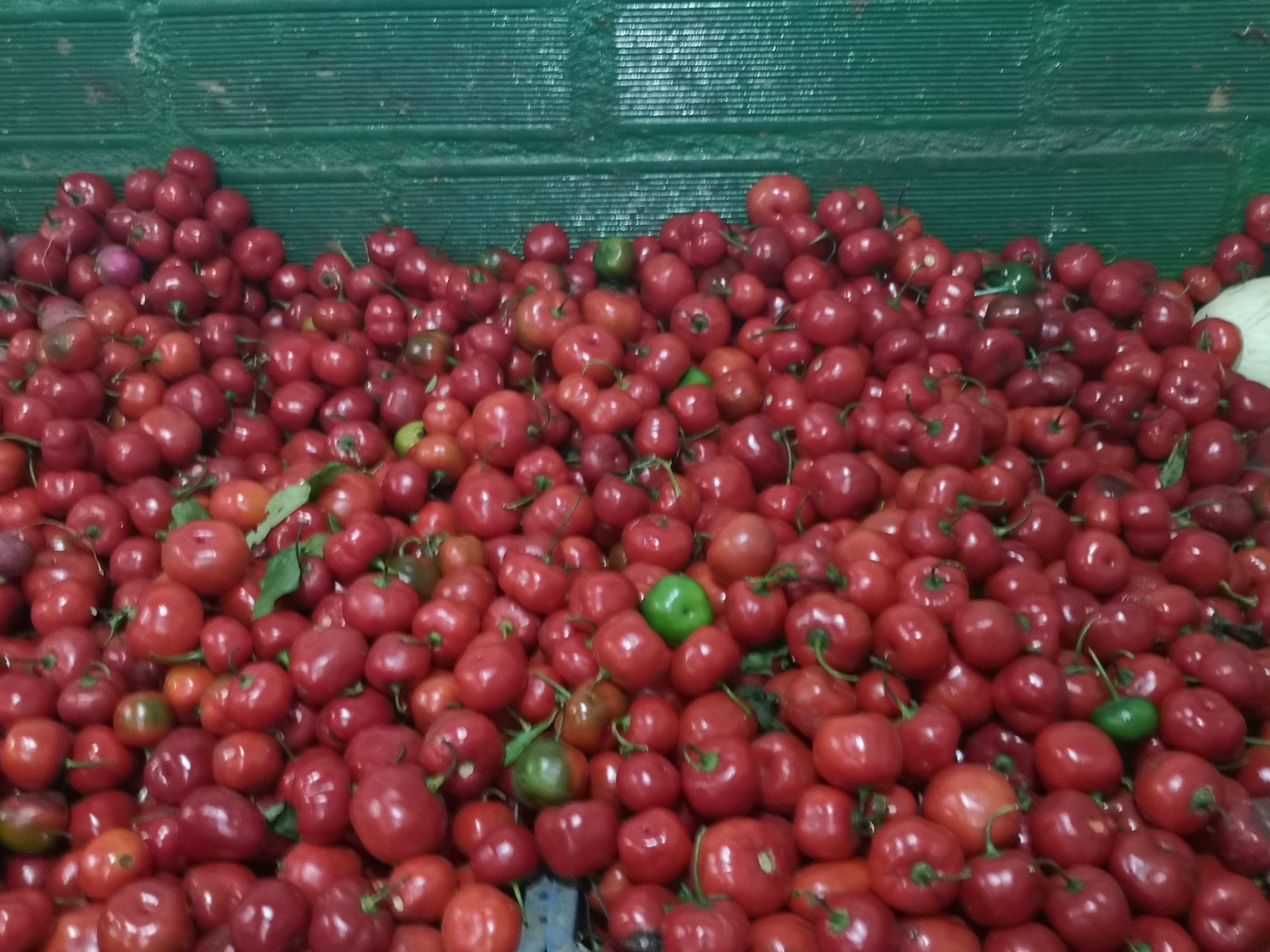 Ají picante