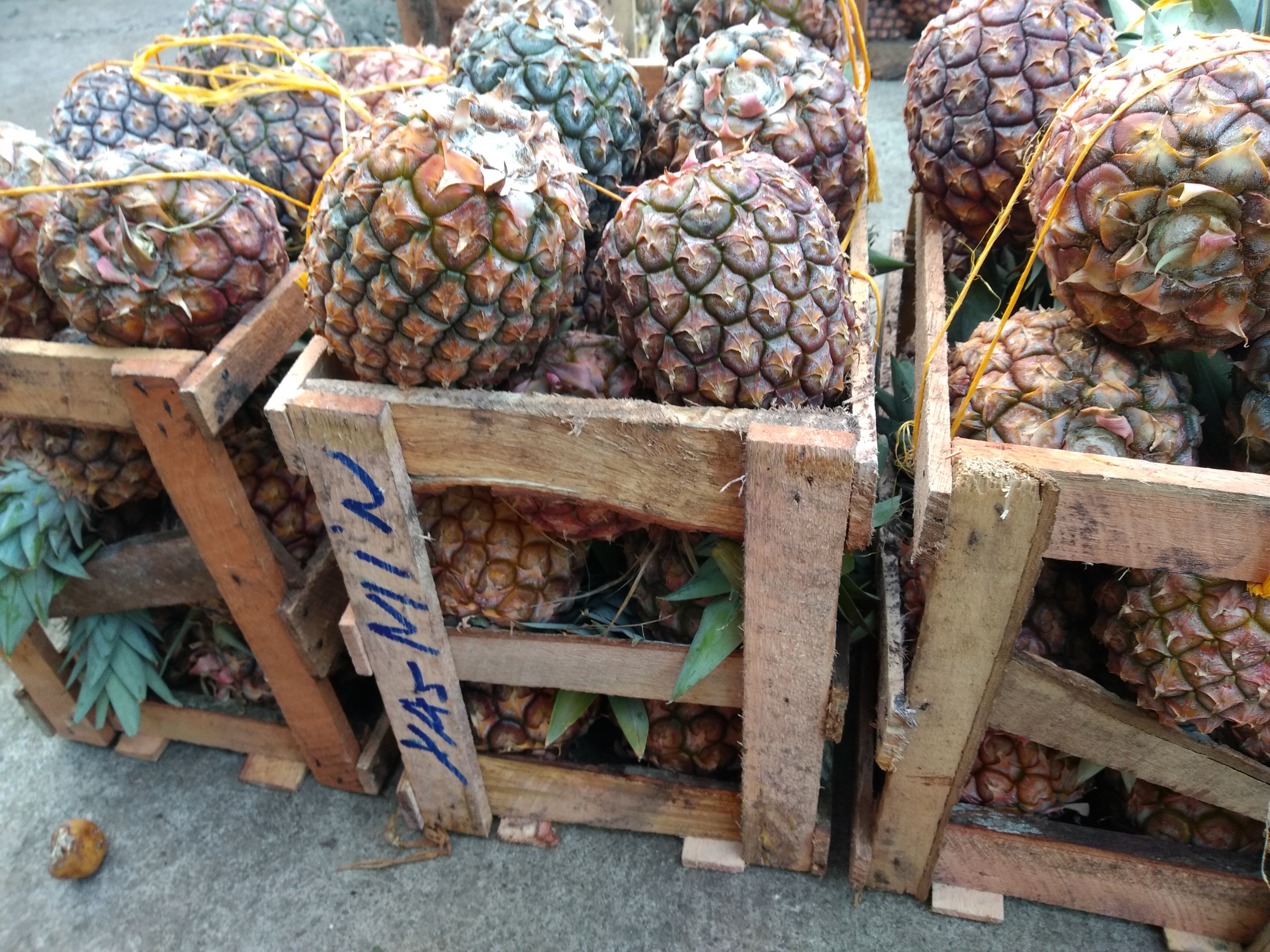 Piña pareja