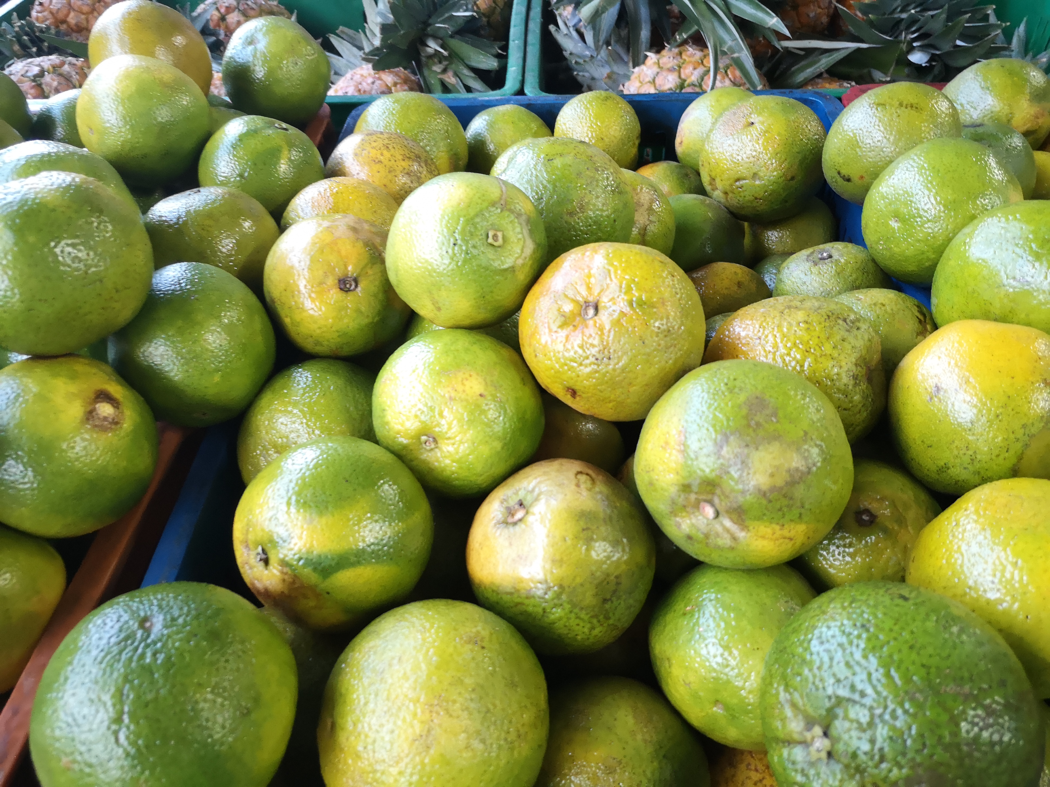 Naranja