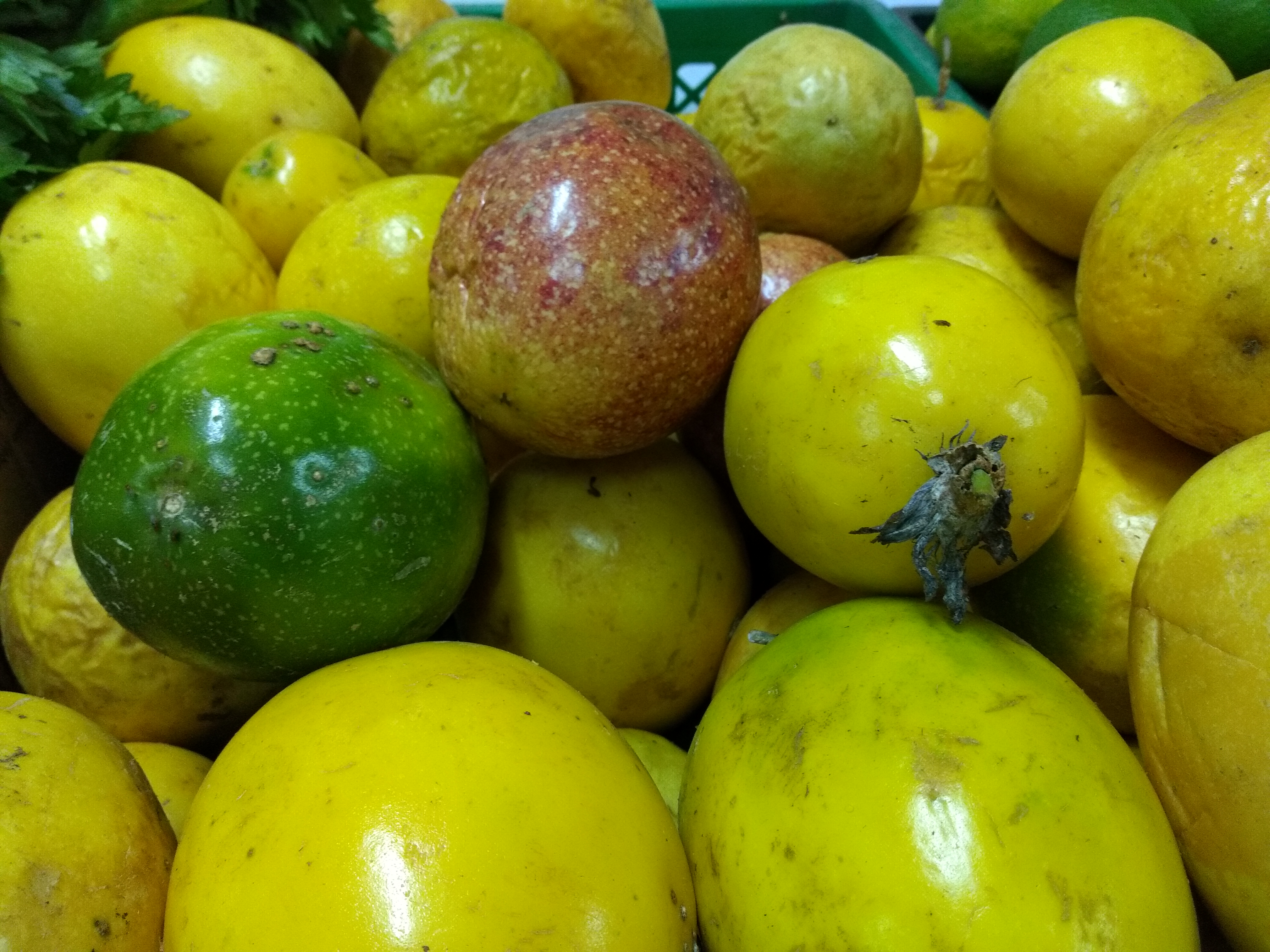 Maracuyá