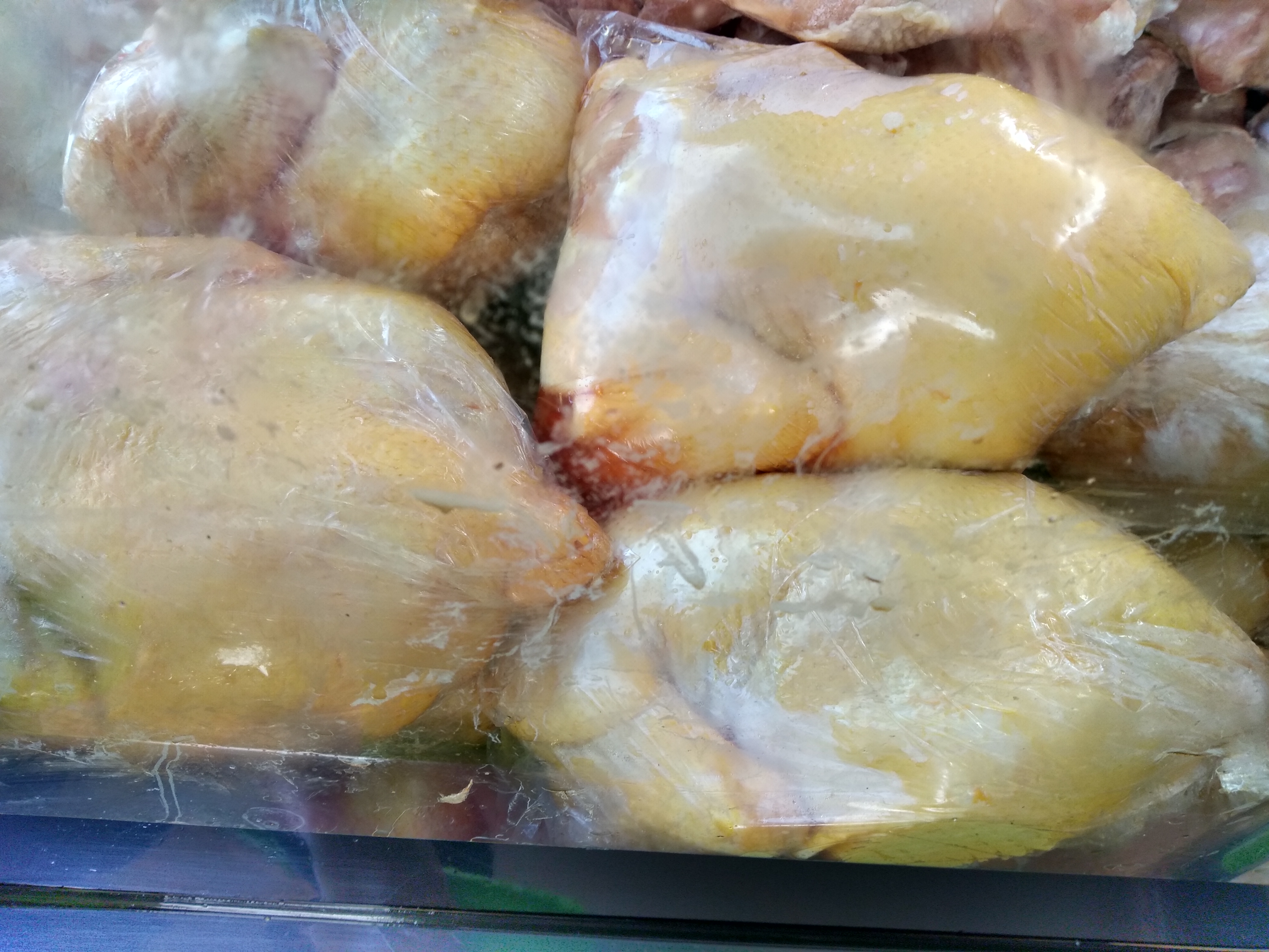 Pollo semi criollo