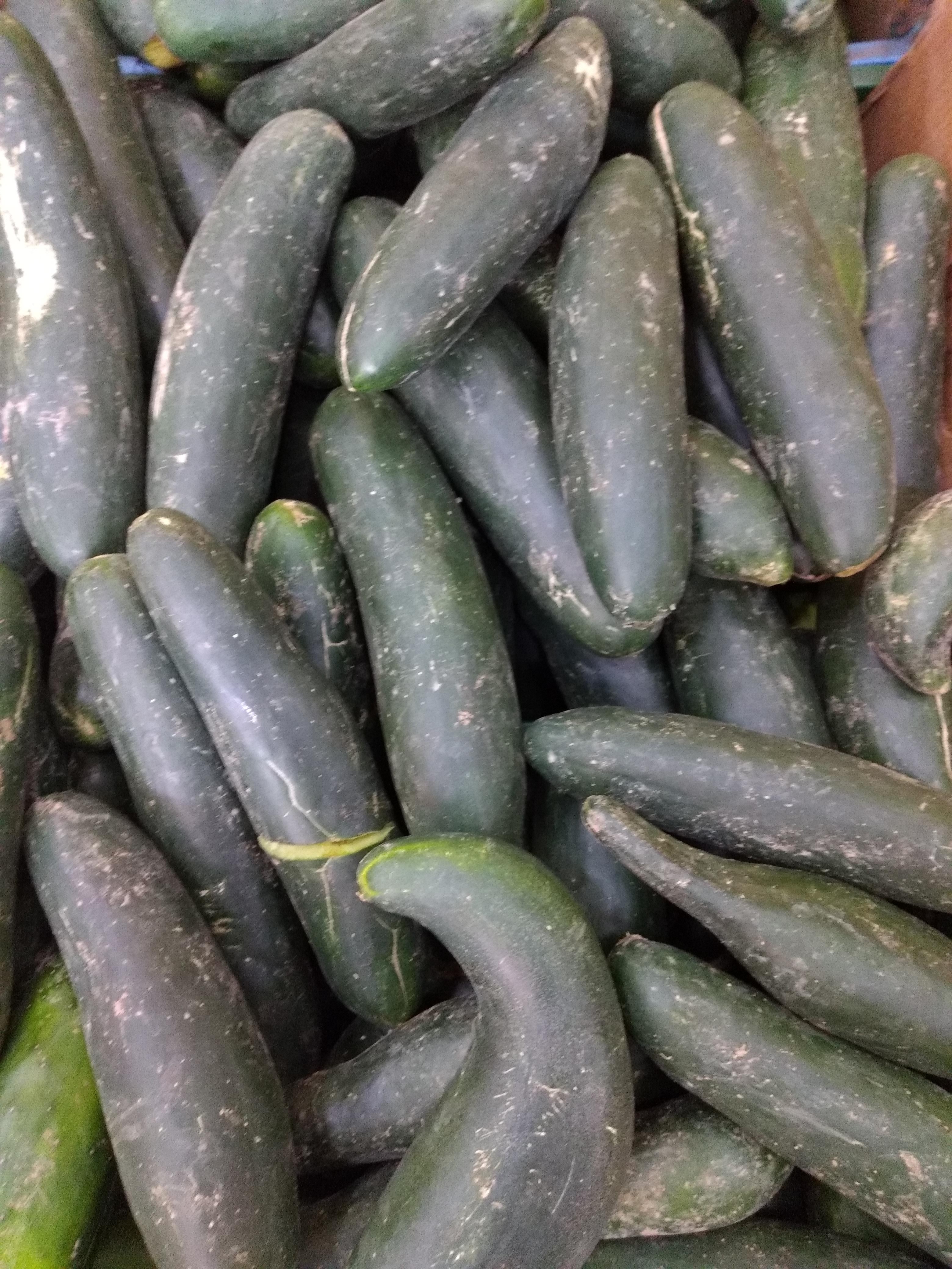 Pepino