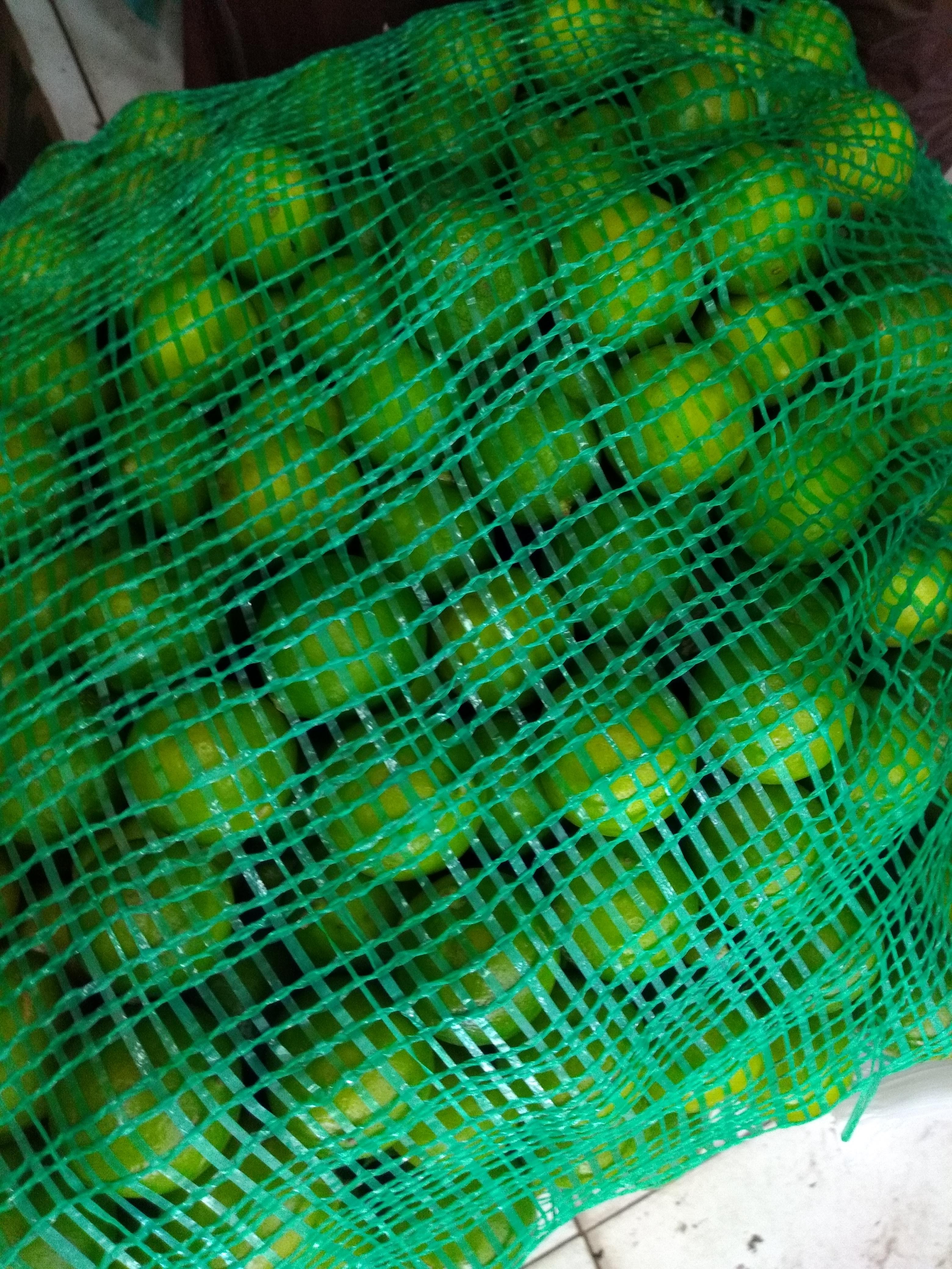 Limón
