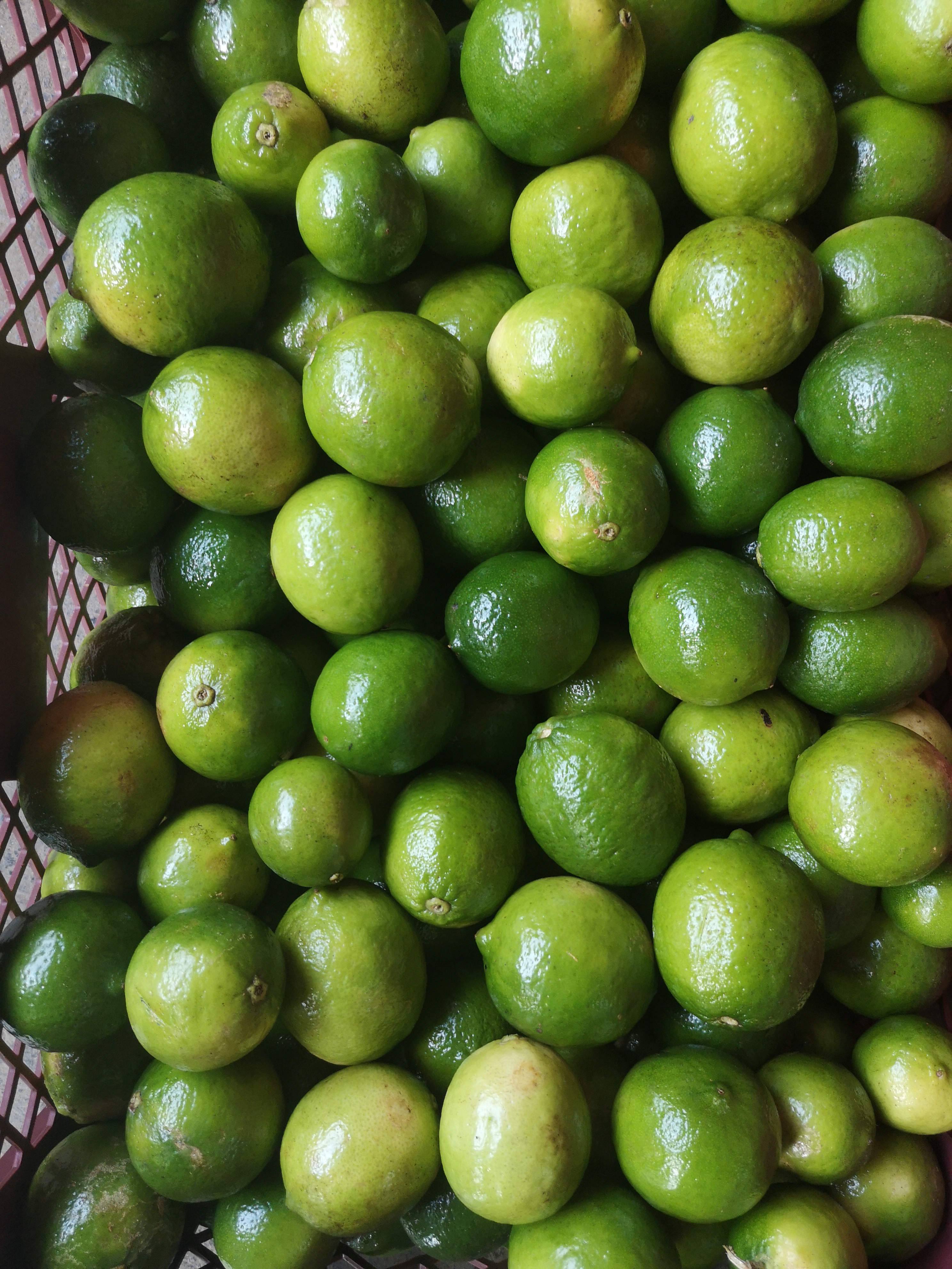 Limón Tahití