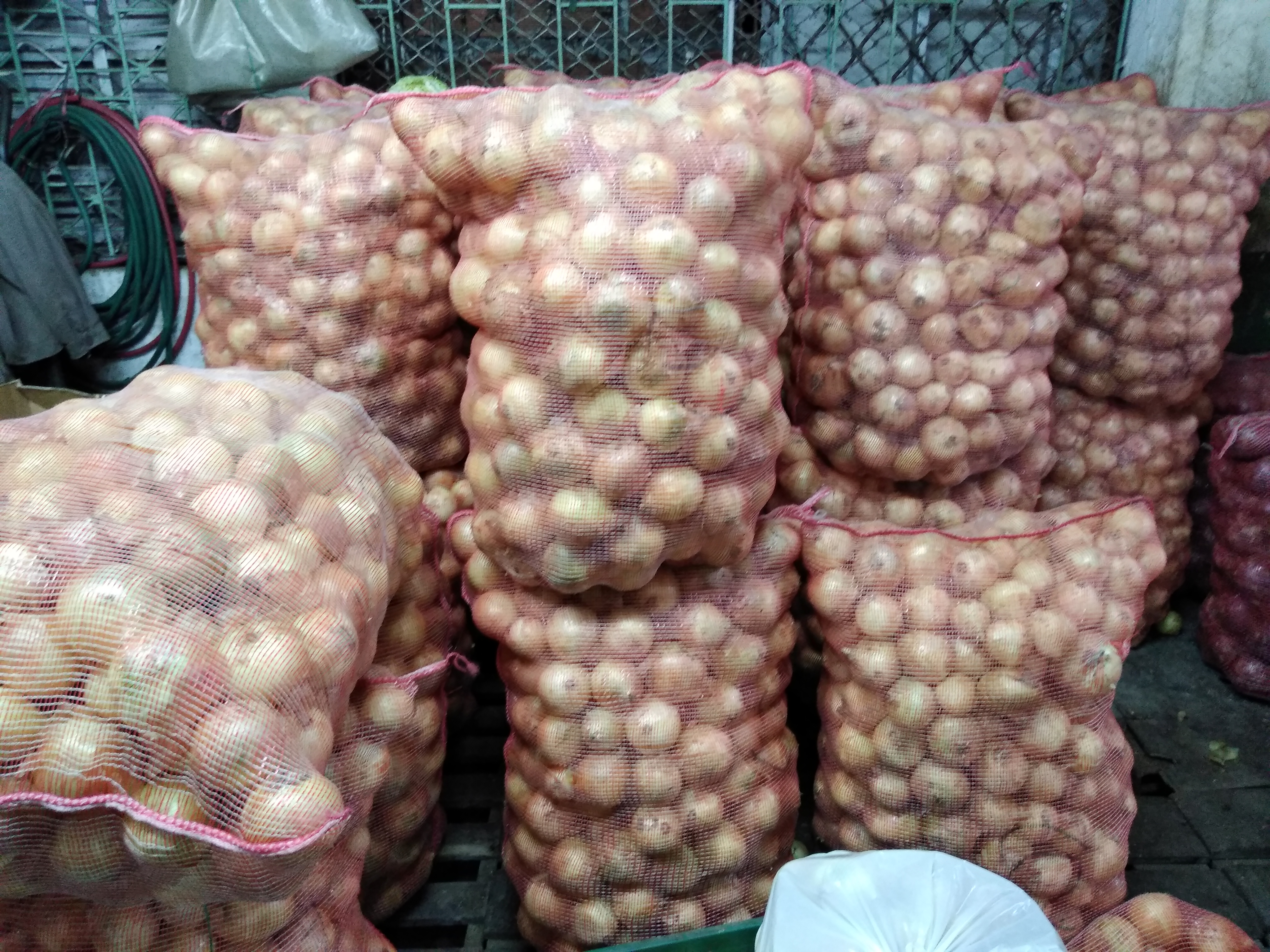 Cebolla huevo