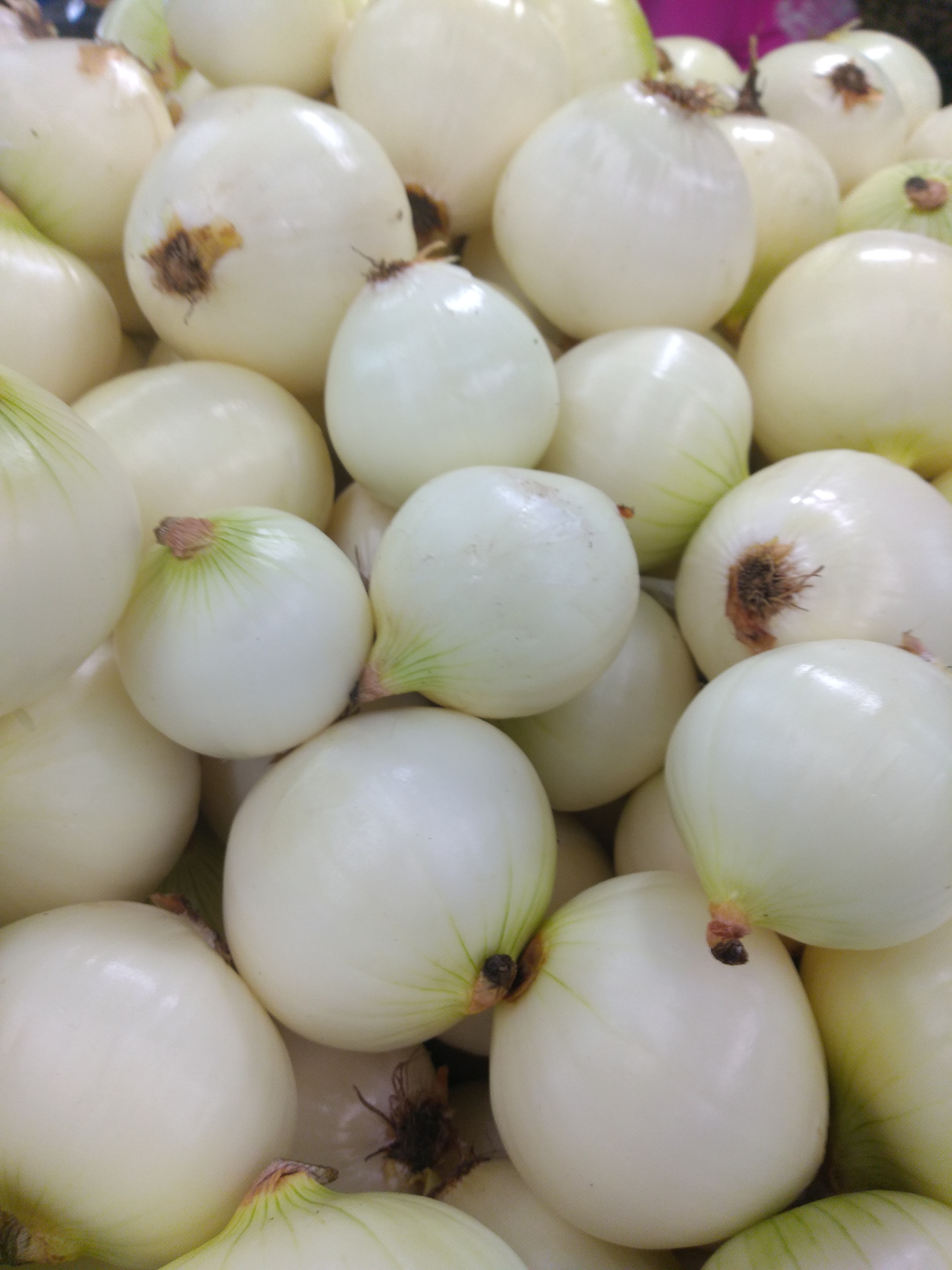 Cebolla blanca