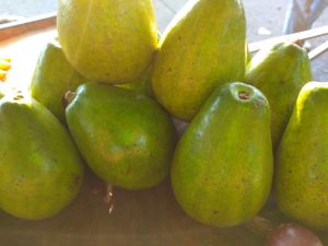 Aguacate papelillo
