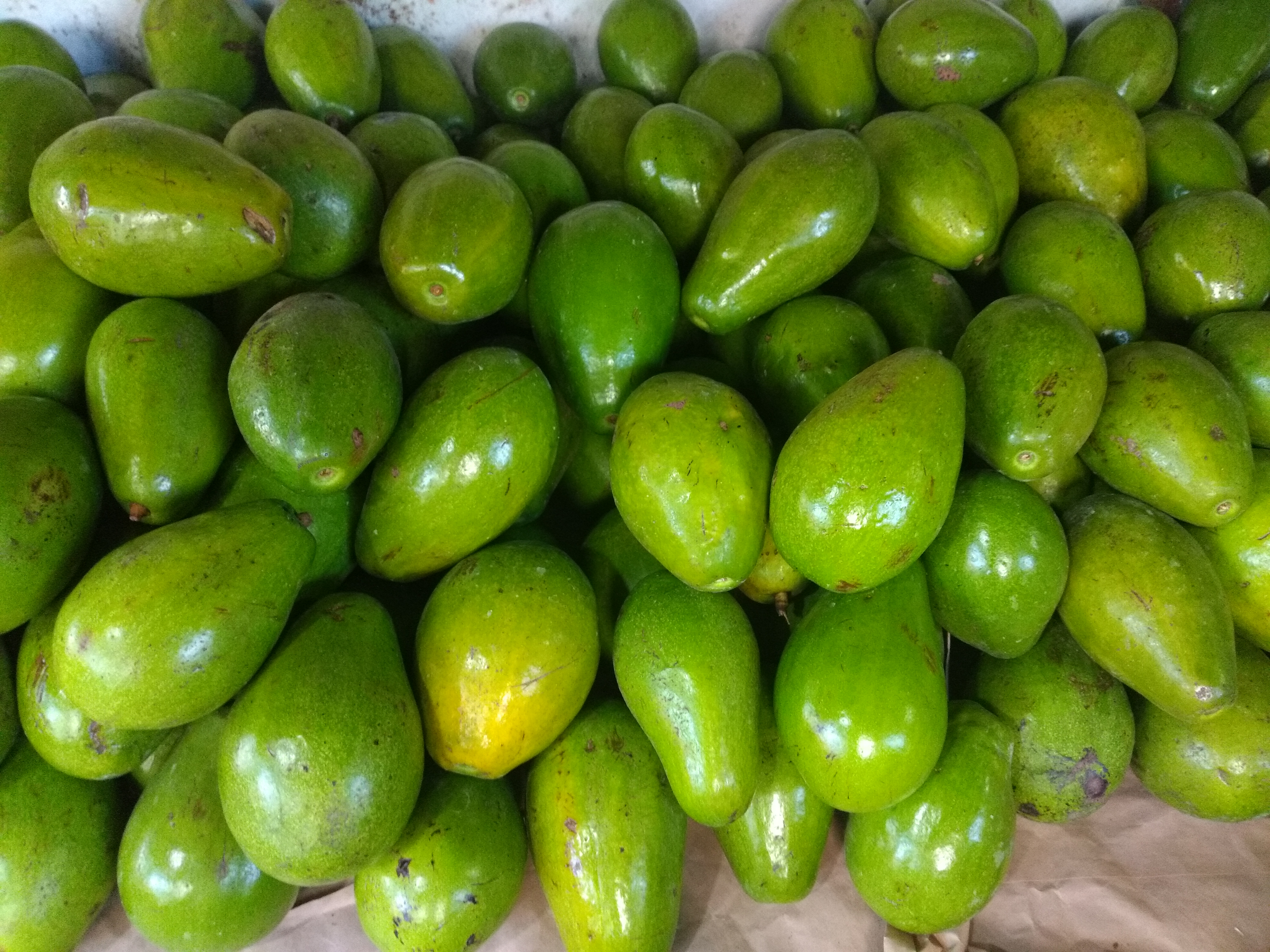 Ahuyama