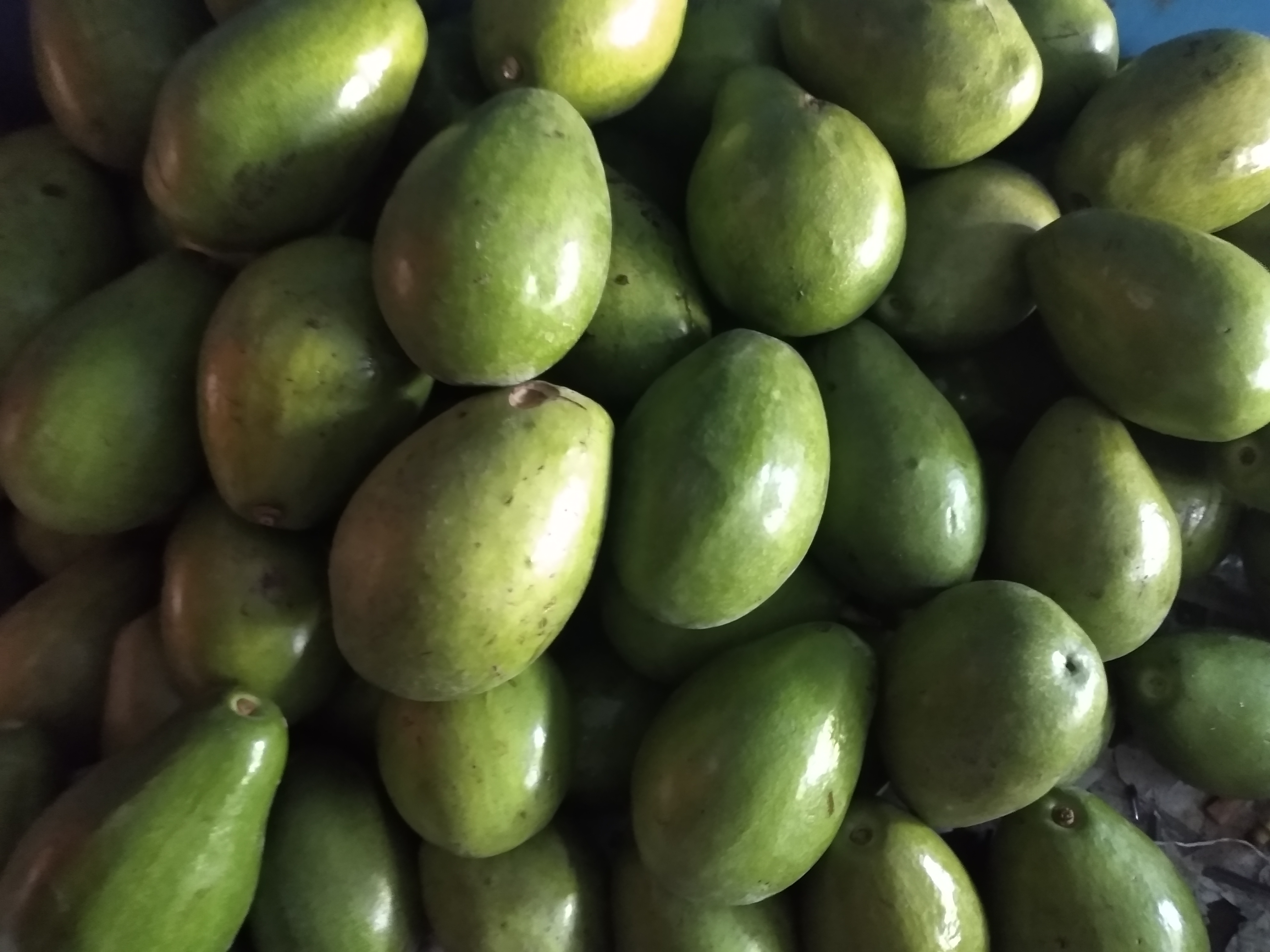 Ahuyama