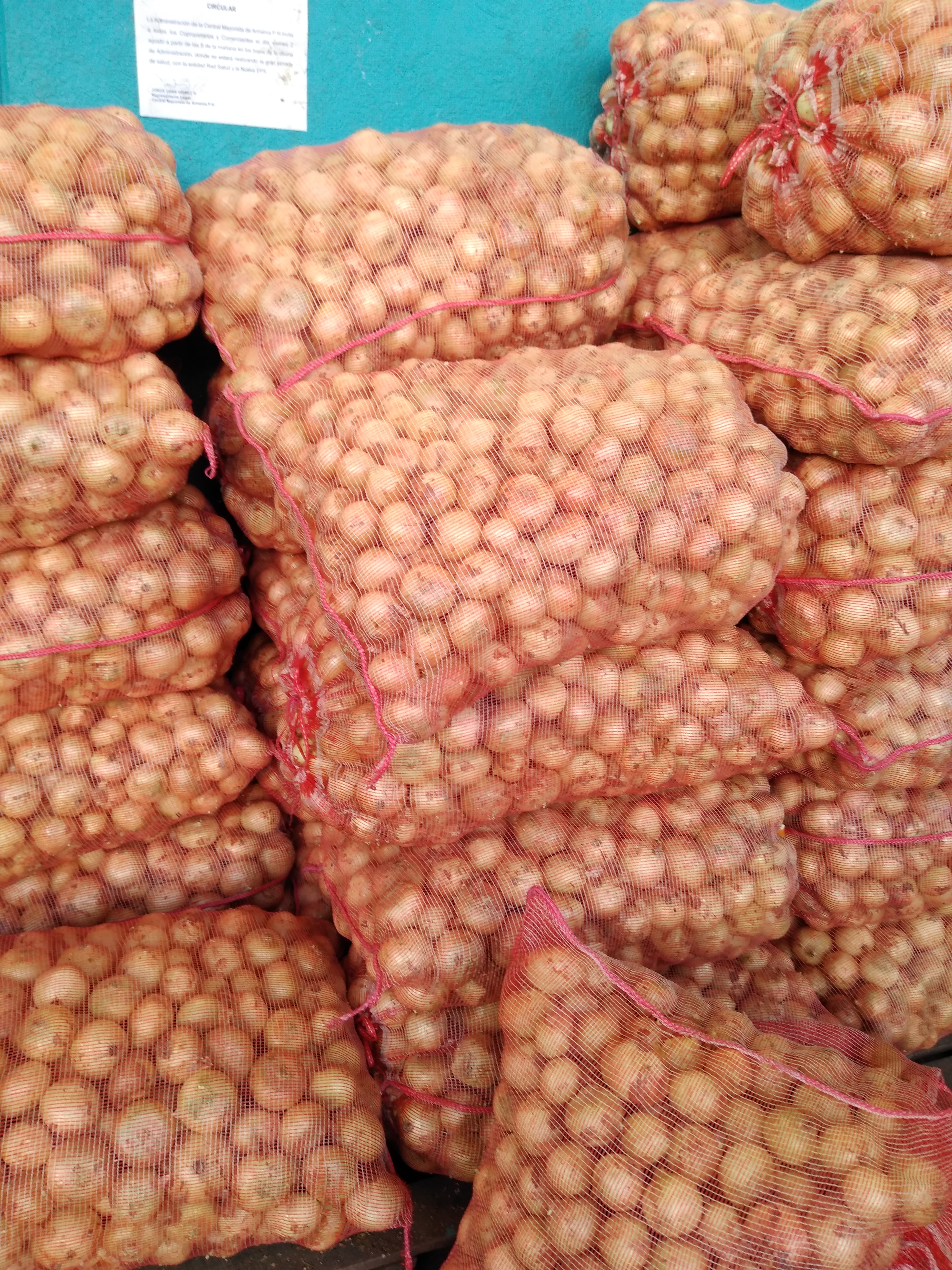 Cebolla huevo