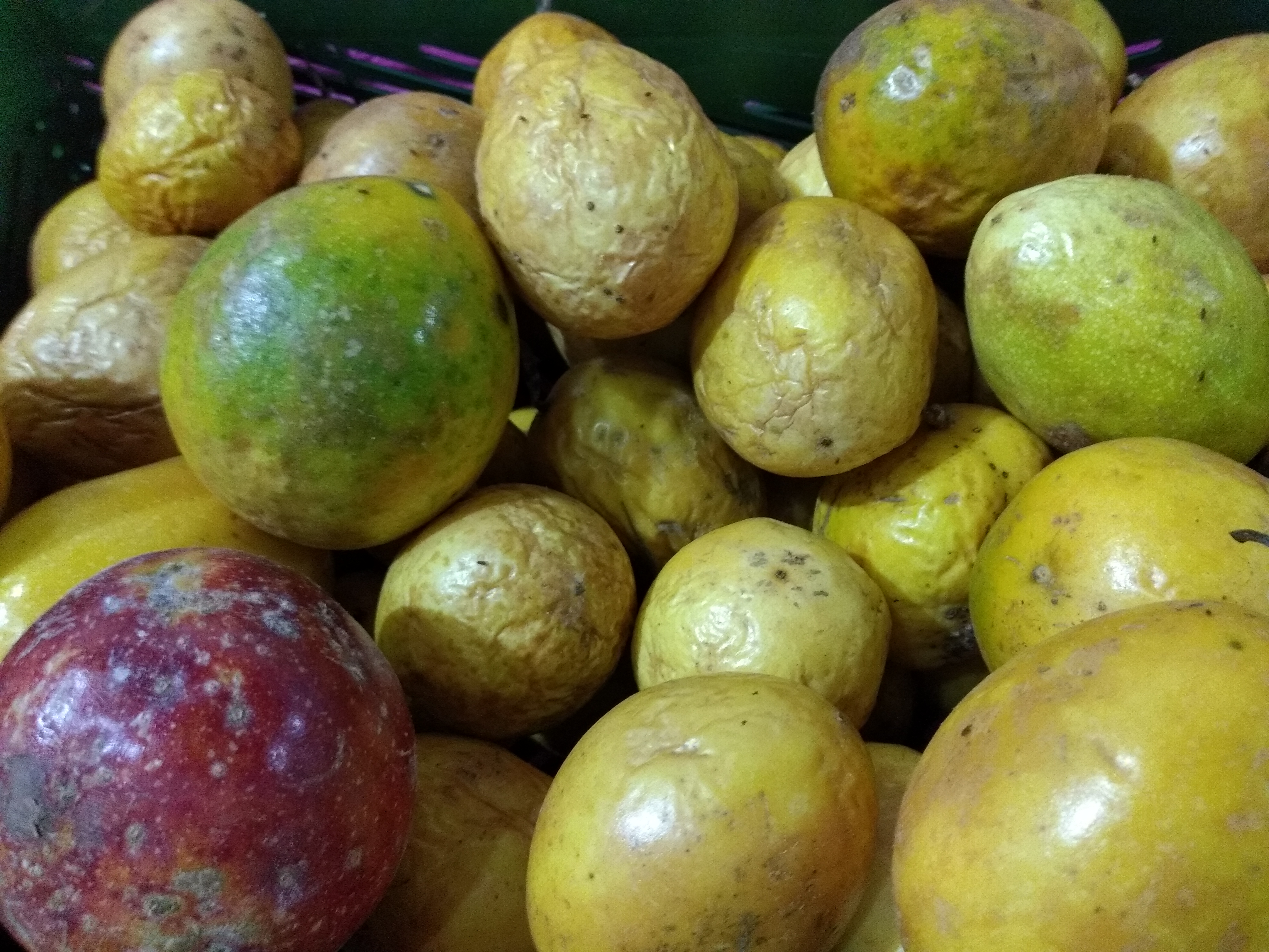 Maracuyá