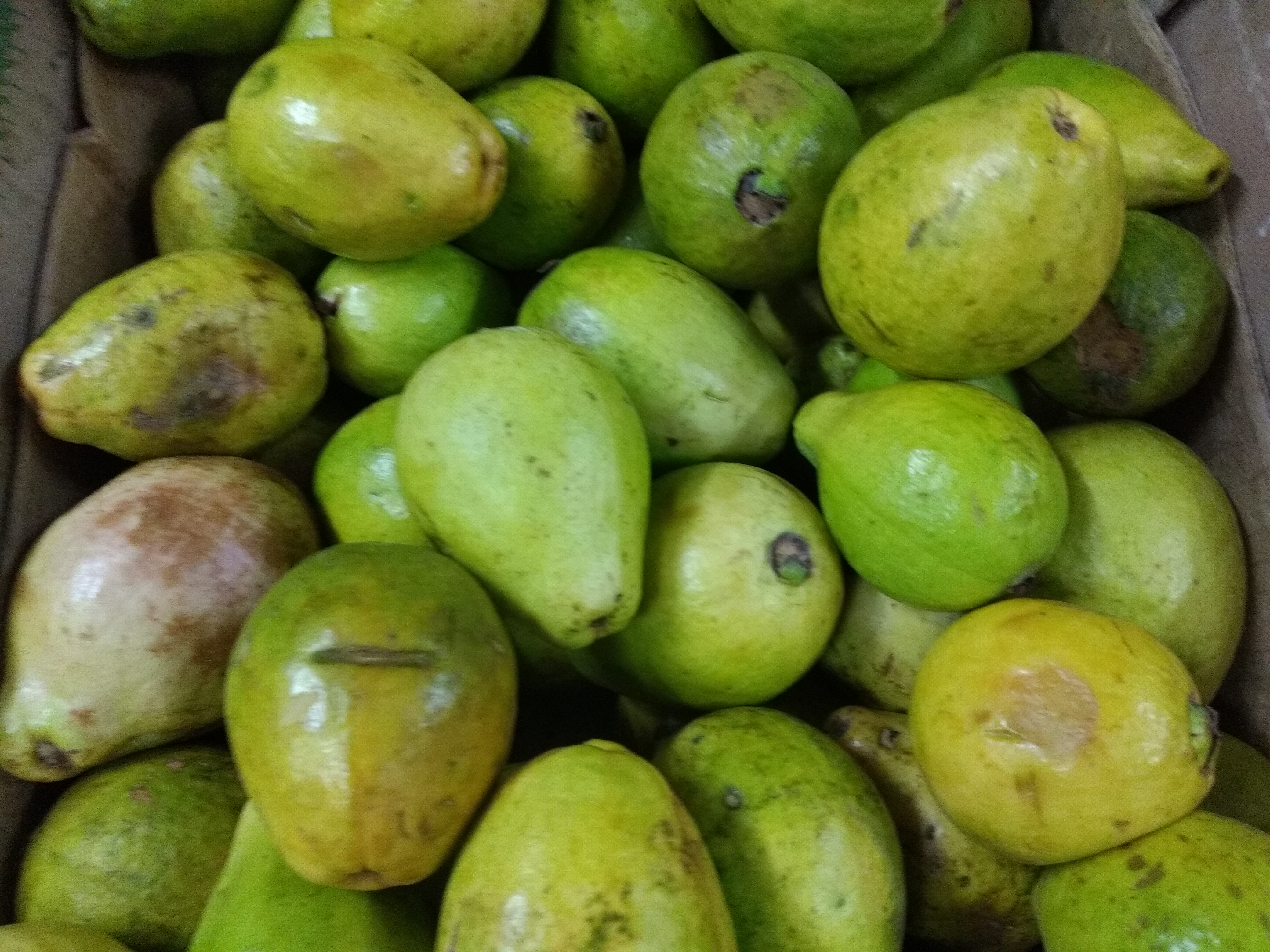 Guayaba dulce