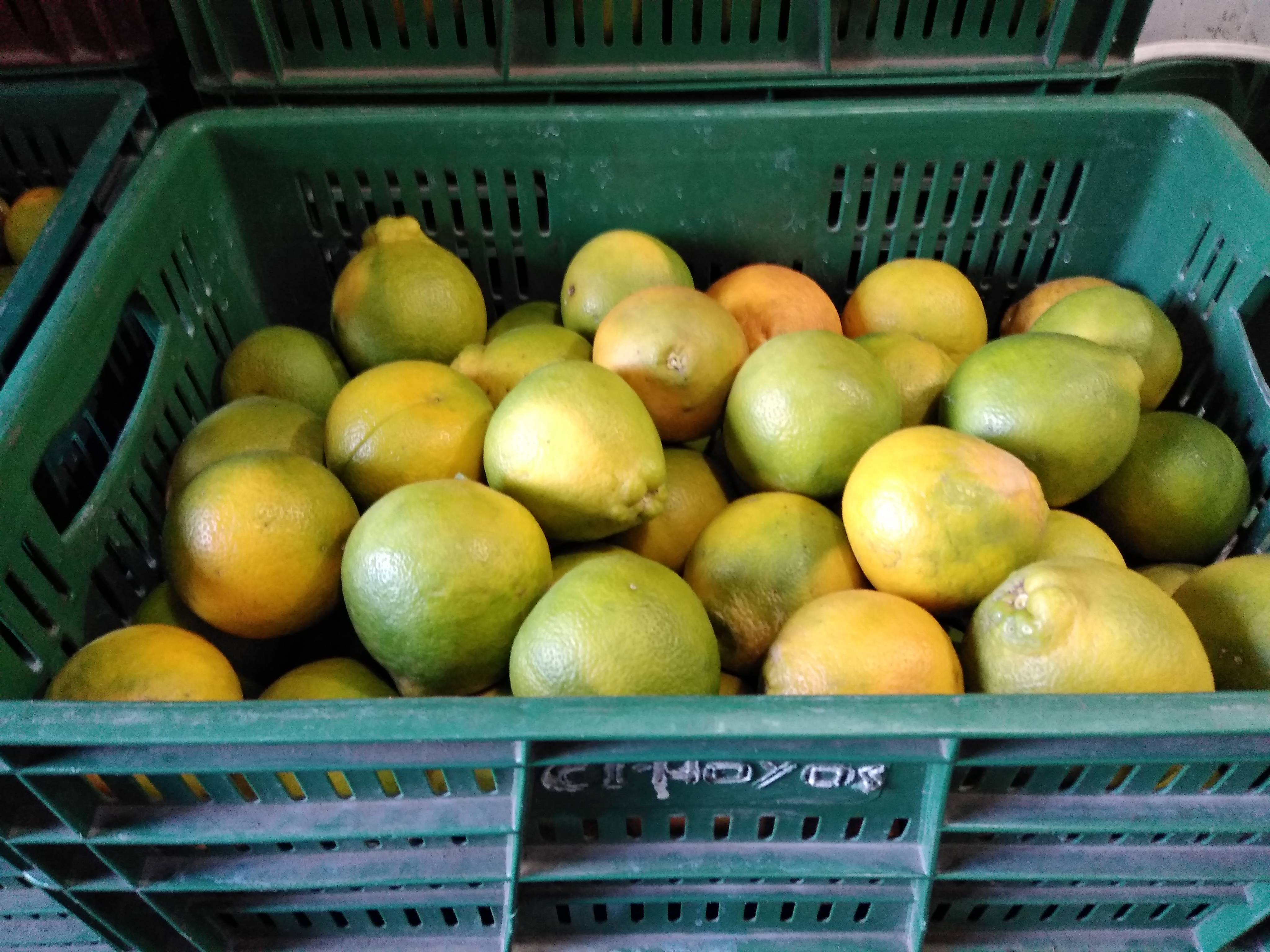 Naranja tangelo