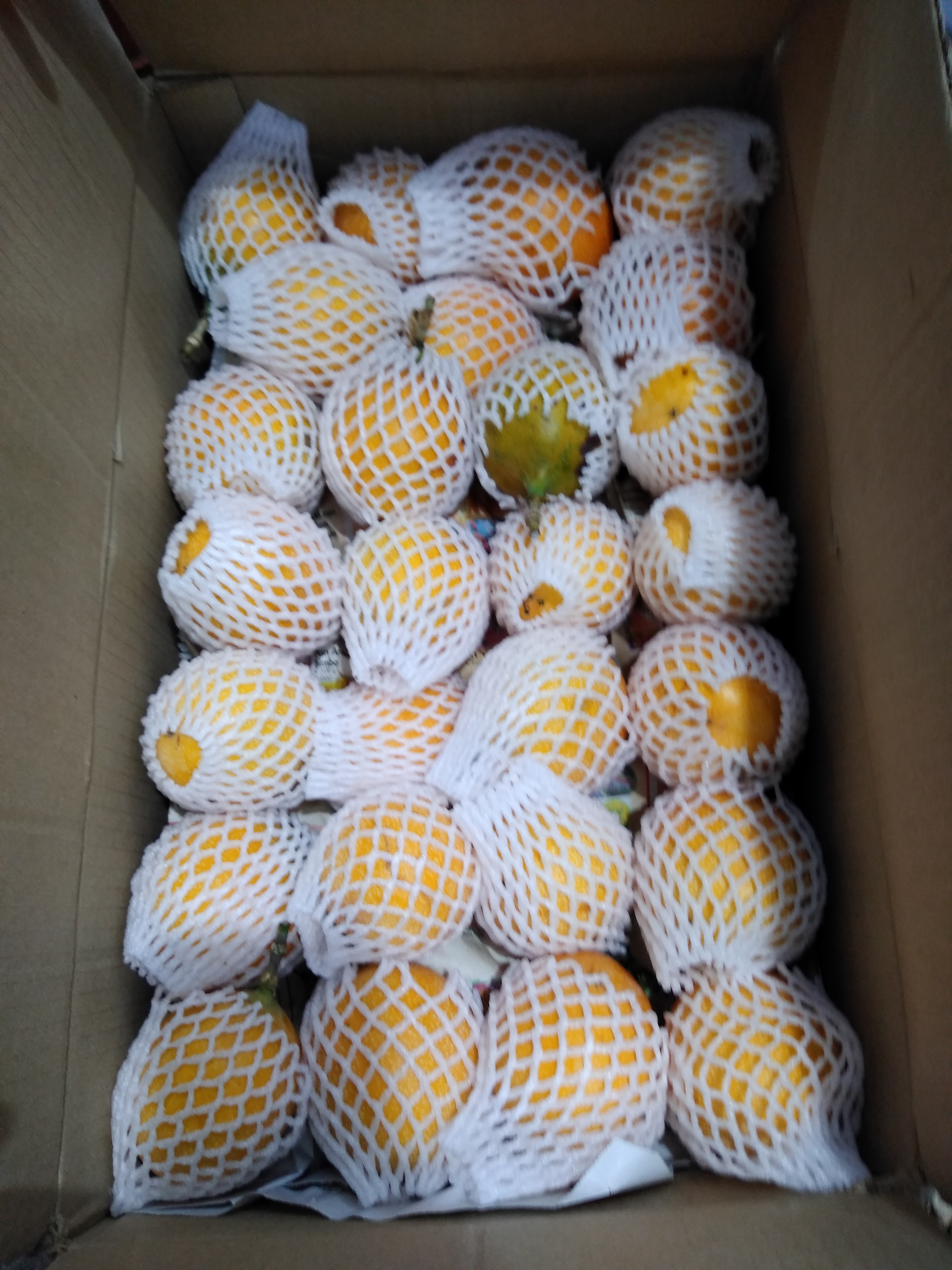 Granadilla