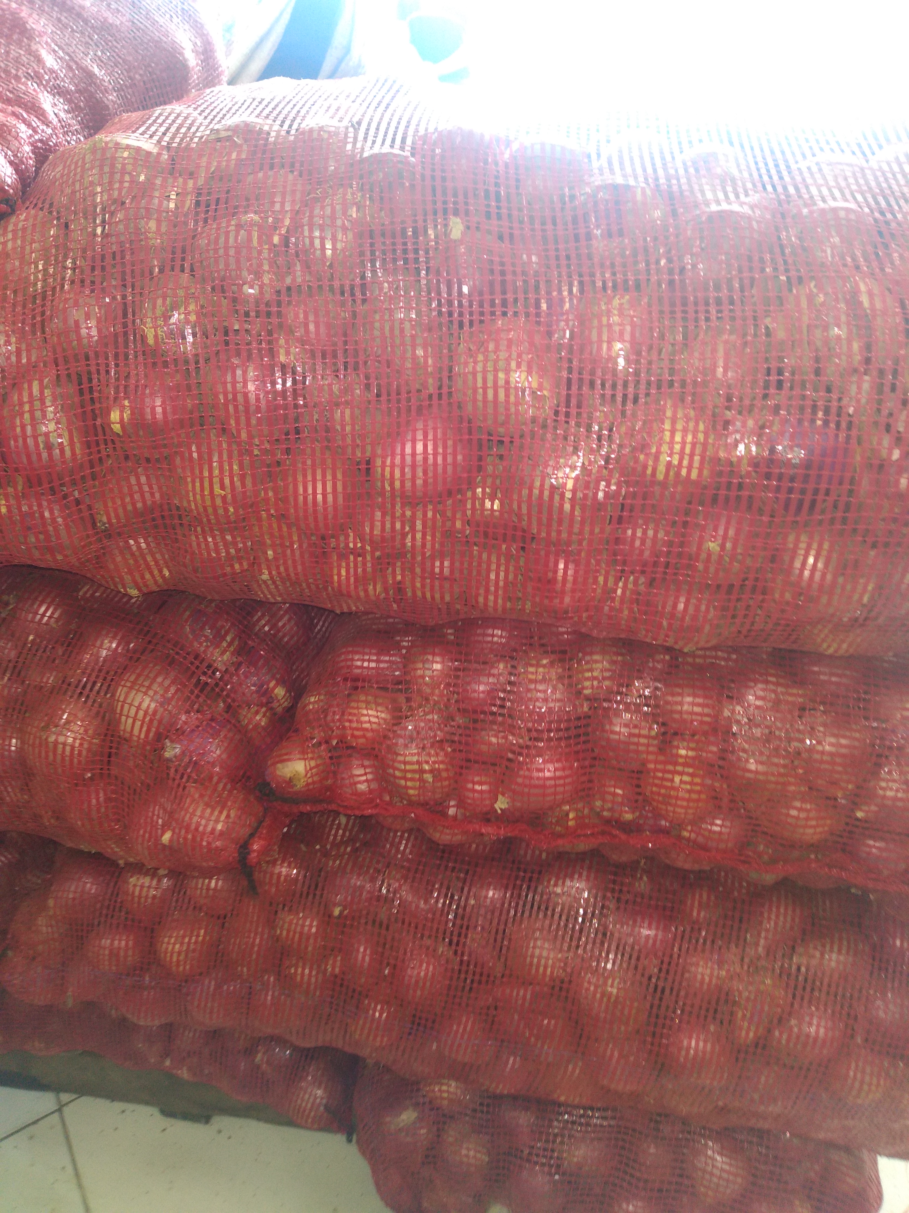 Cebolla peruana