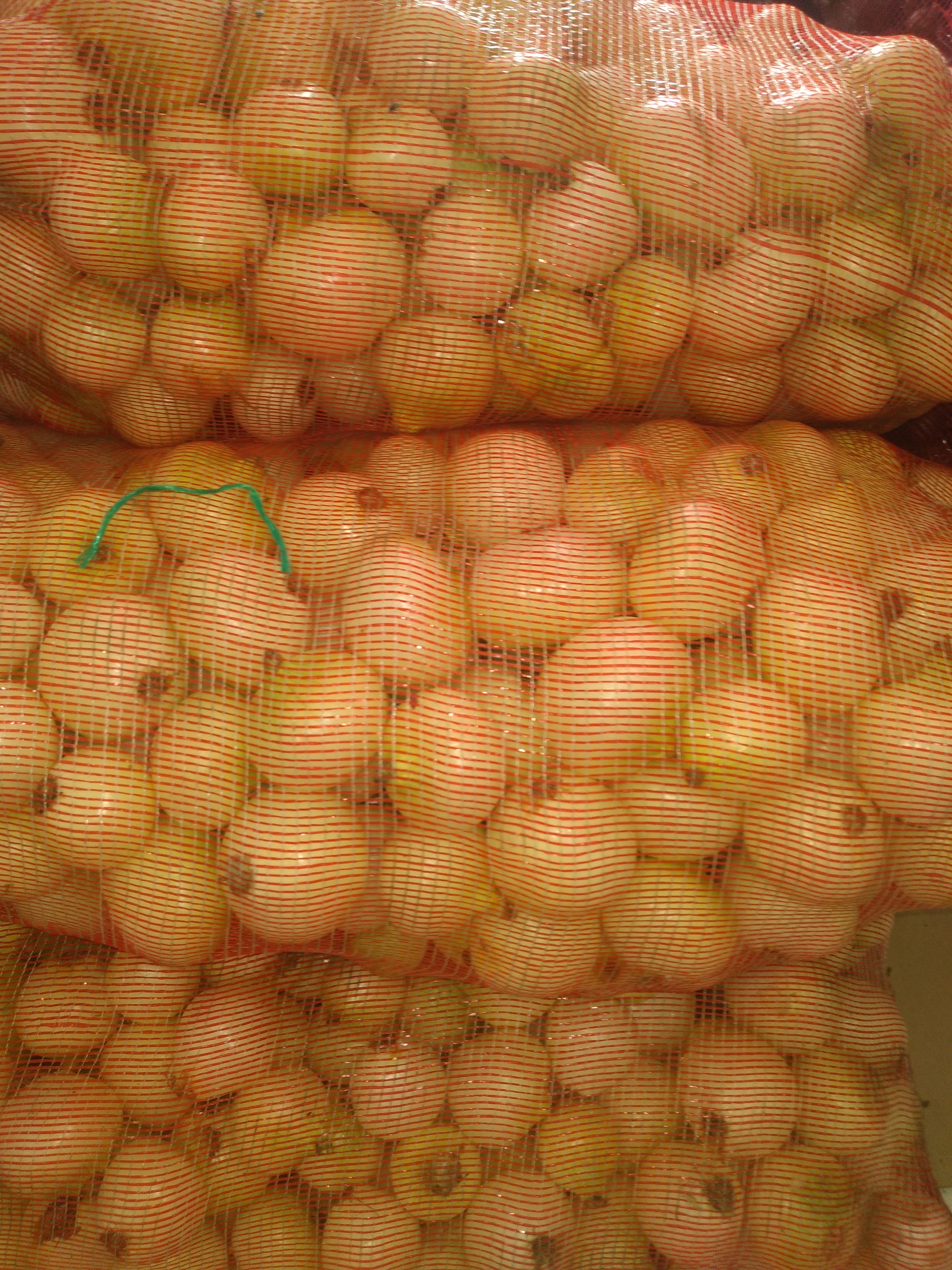 Cebolla blanca