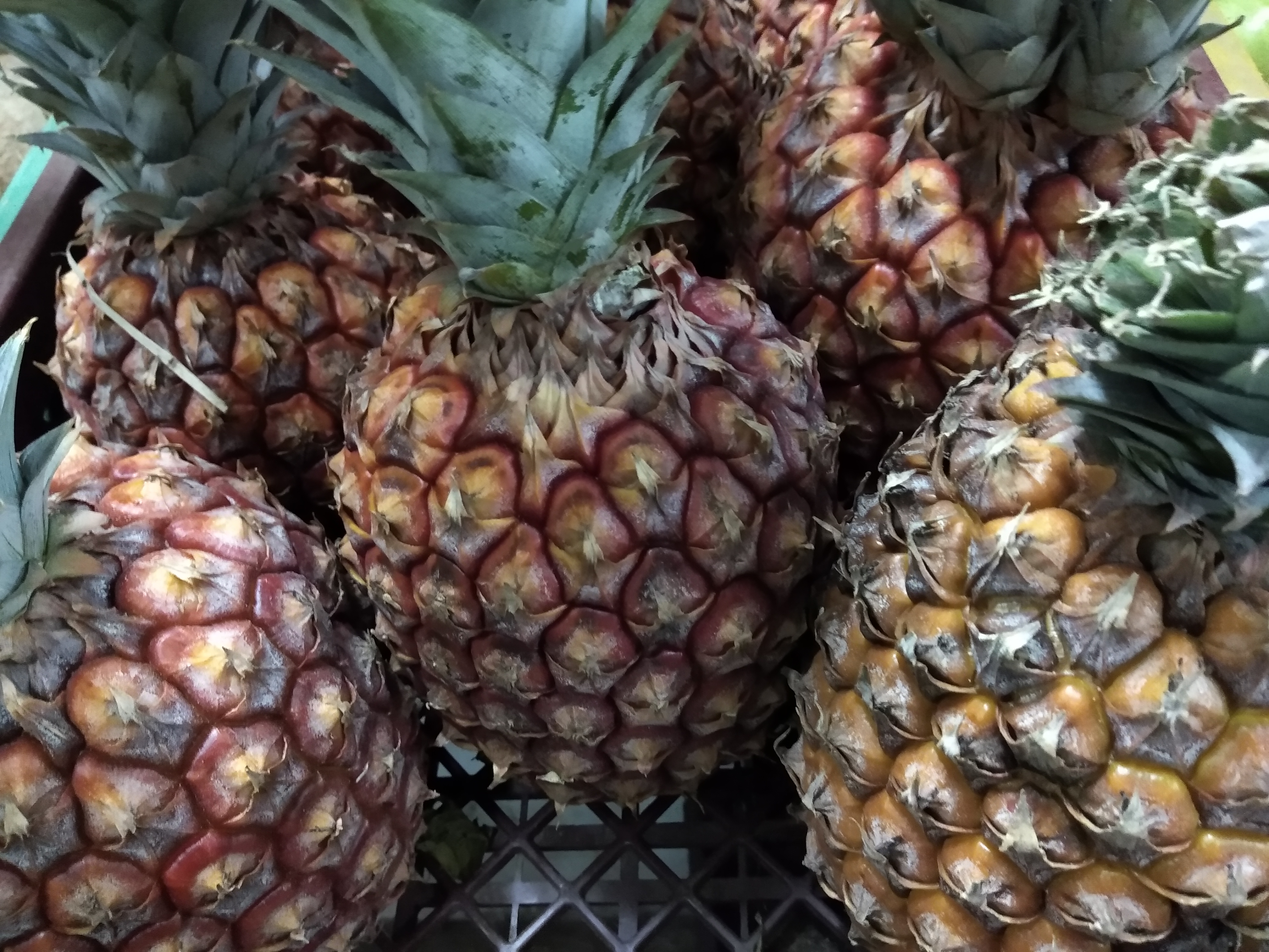Piña pareja