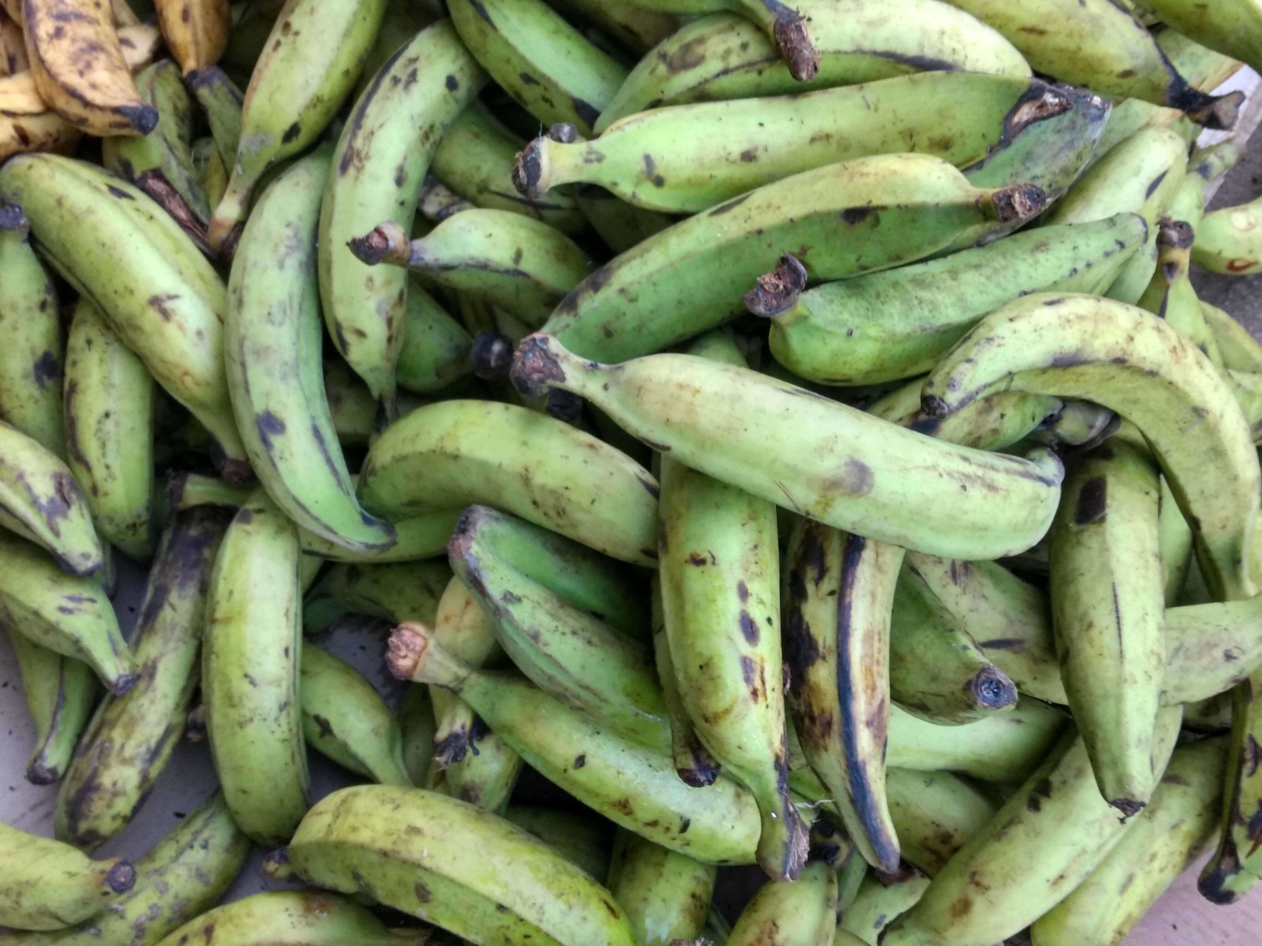 Plátano verde d 2da