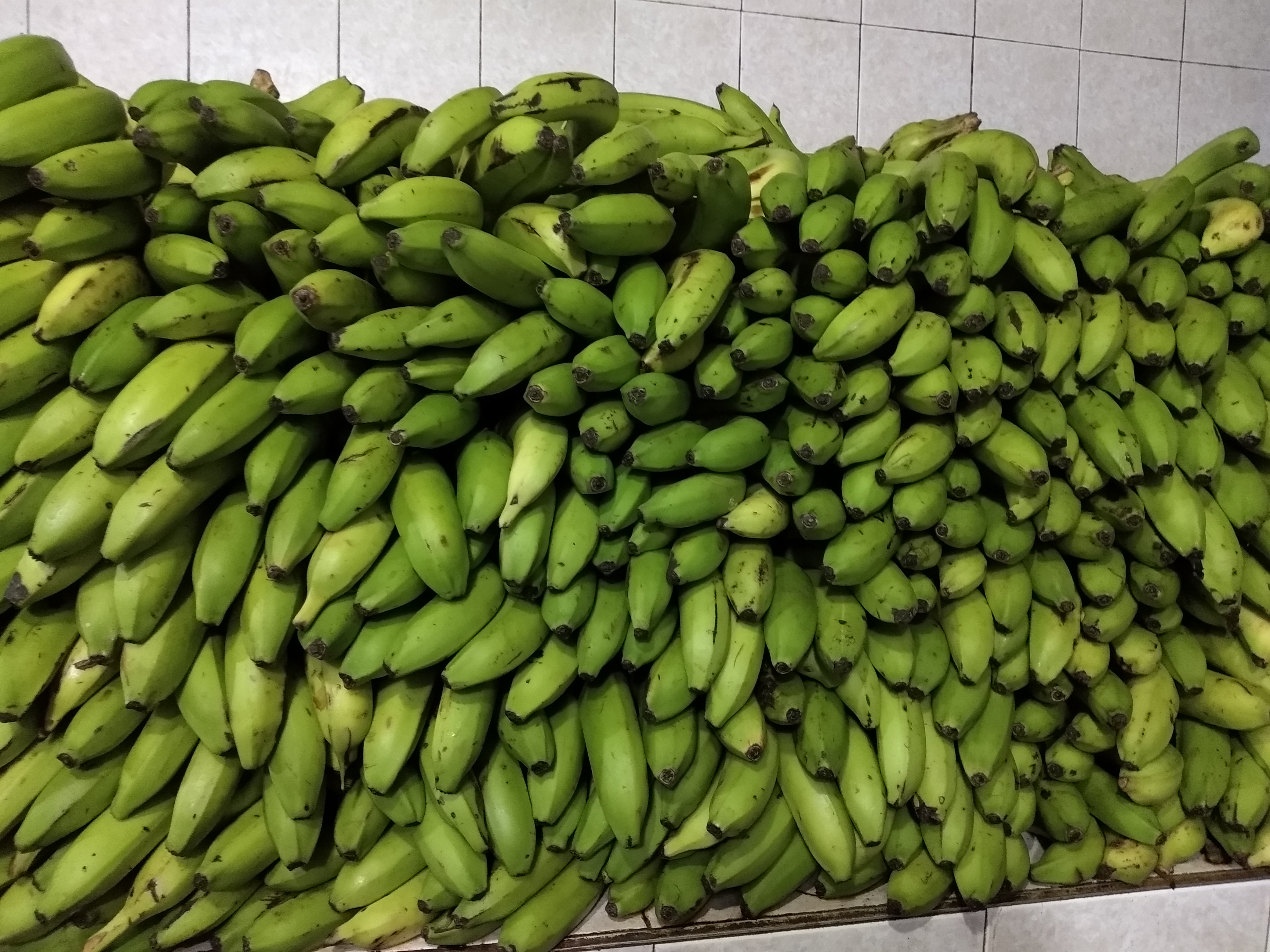 Banano verde