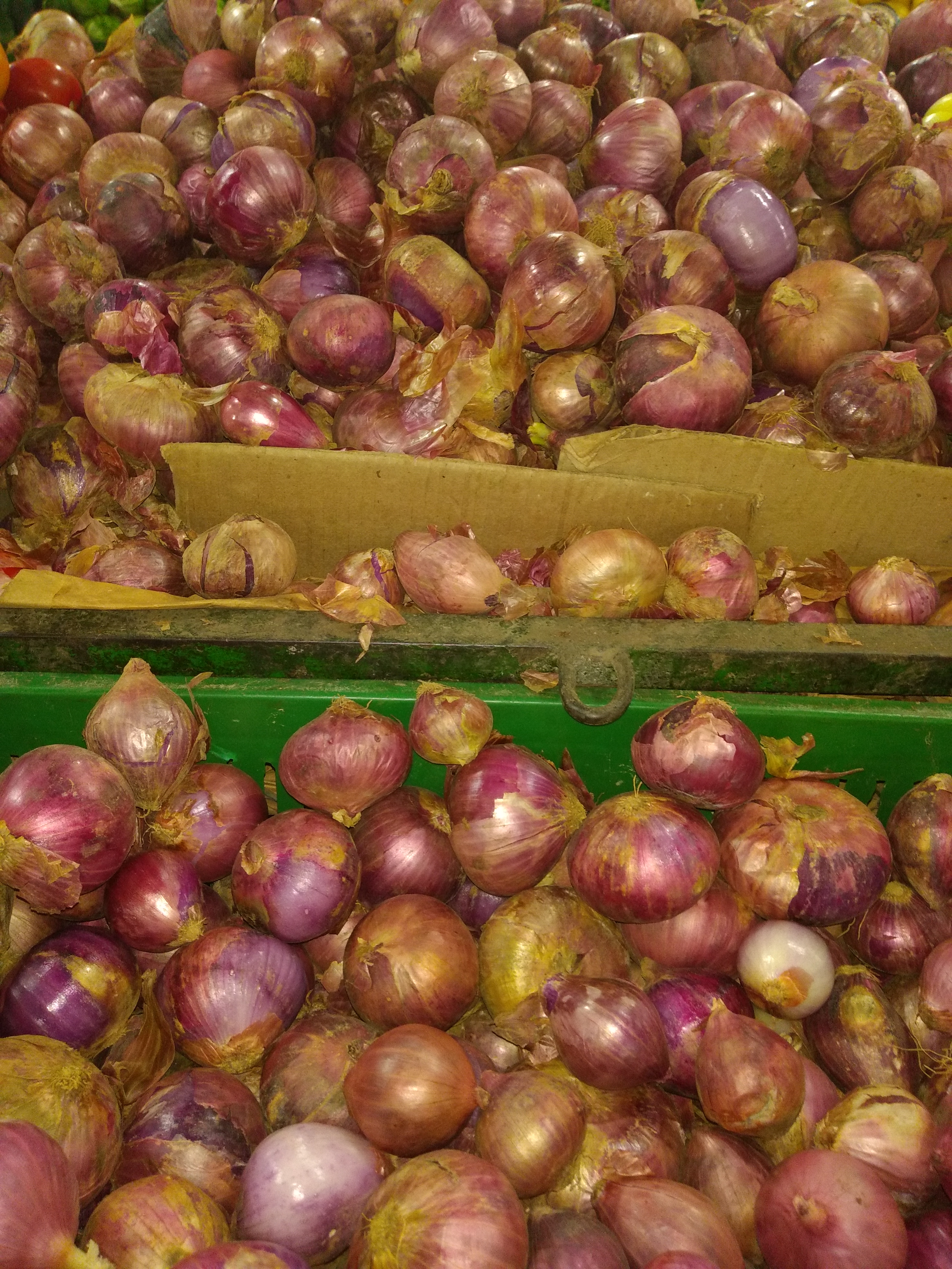 Cebolla