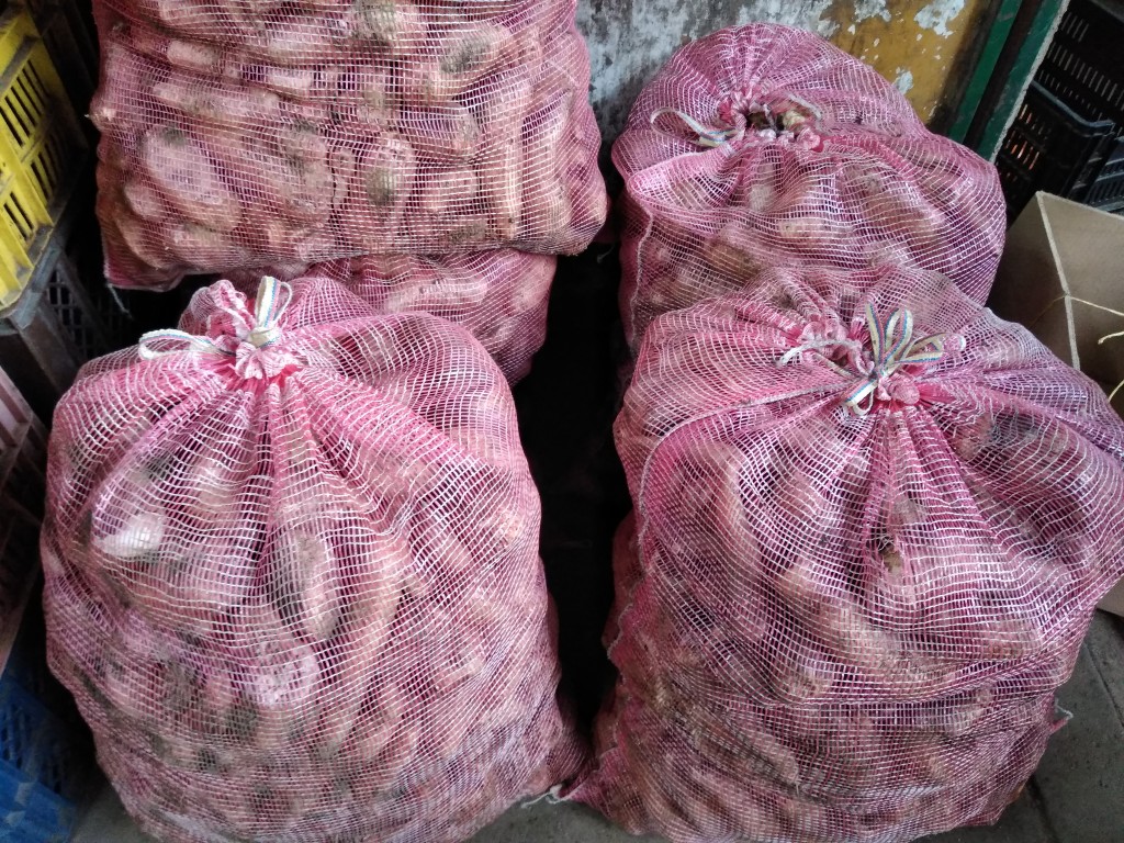 Arracacha
