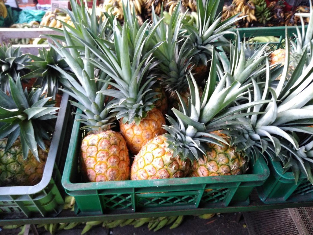 Piña oro miel