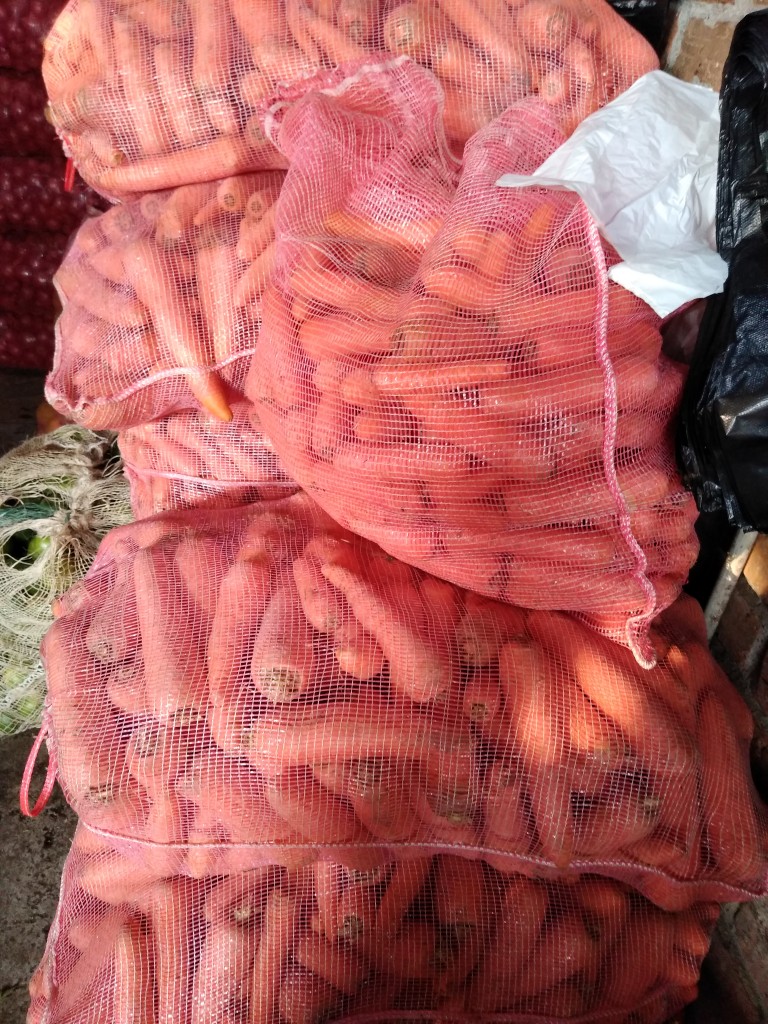 Zanahoria