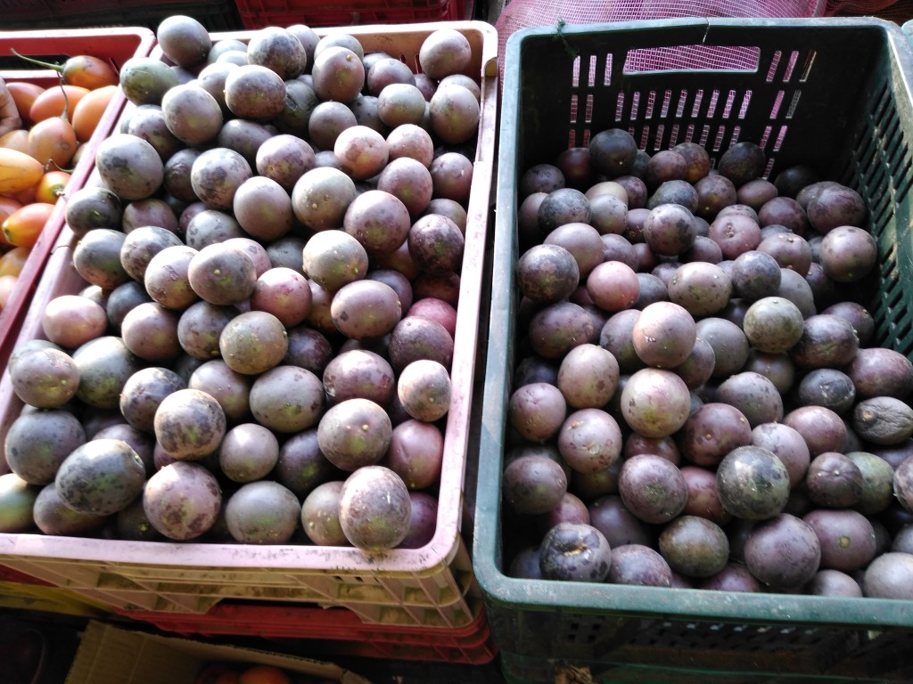 Chulupa