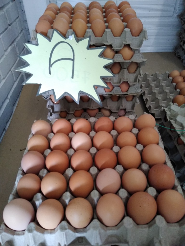 Huevos tipo A
