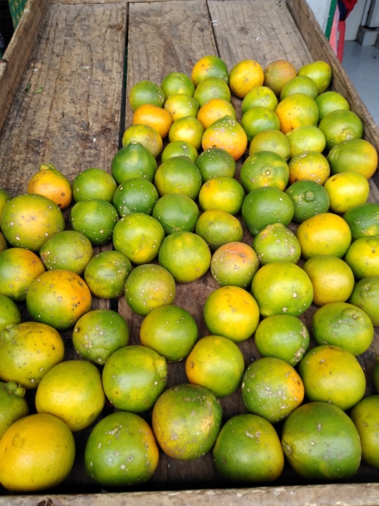 Naranja tangelo 1ra