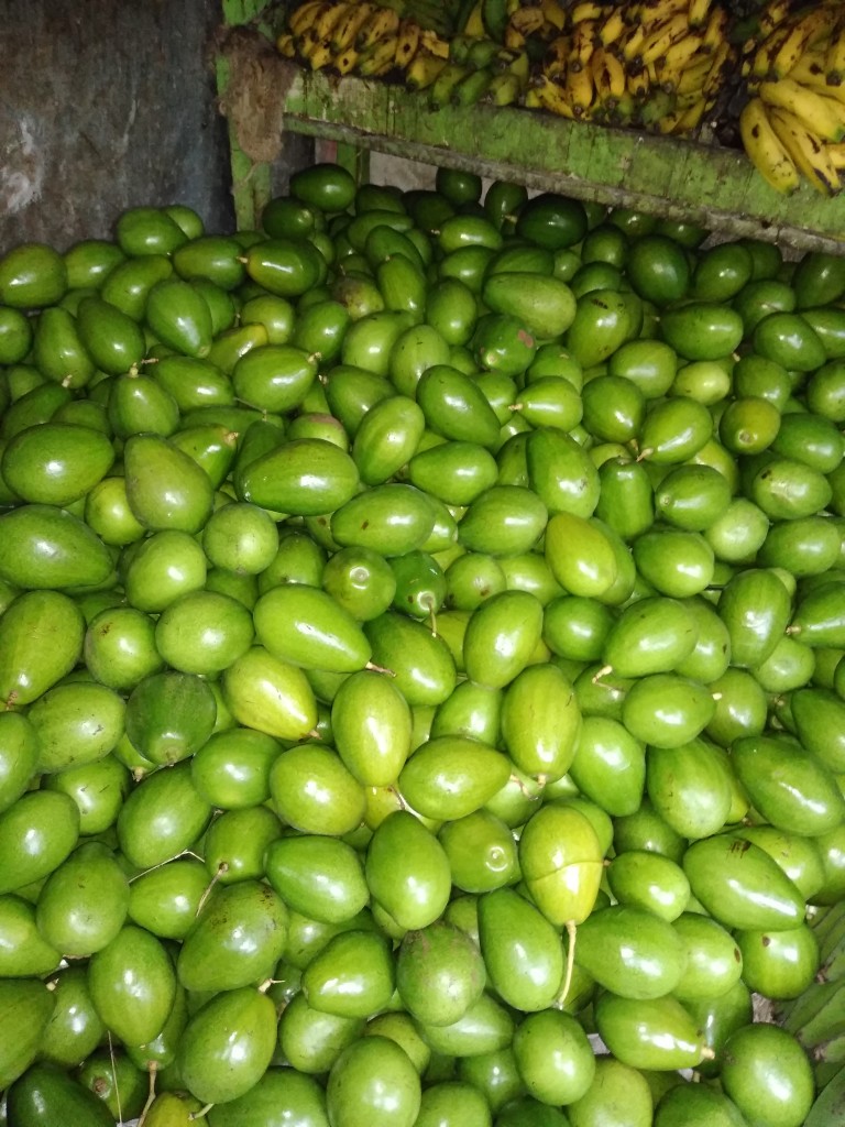 Aguacate papelillo