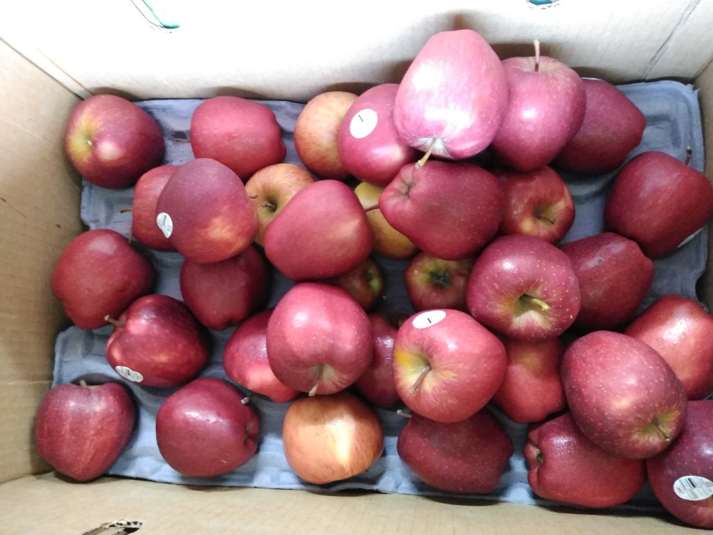 Manzana chilena roja