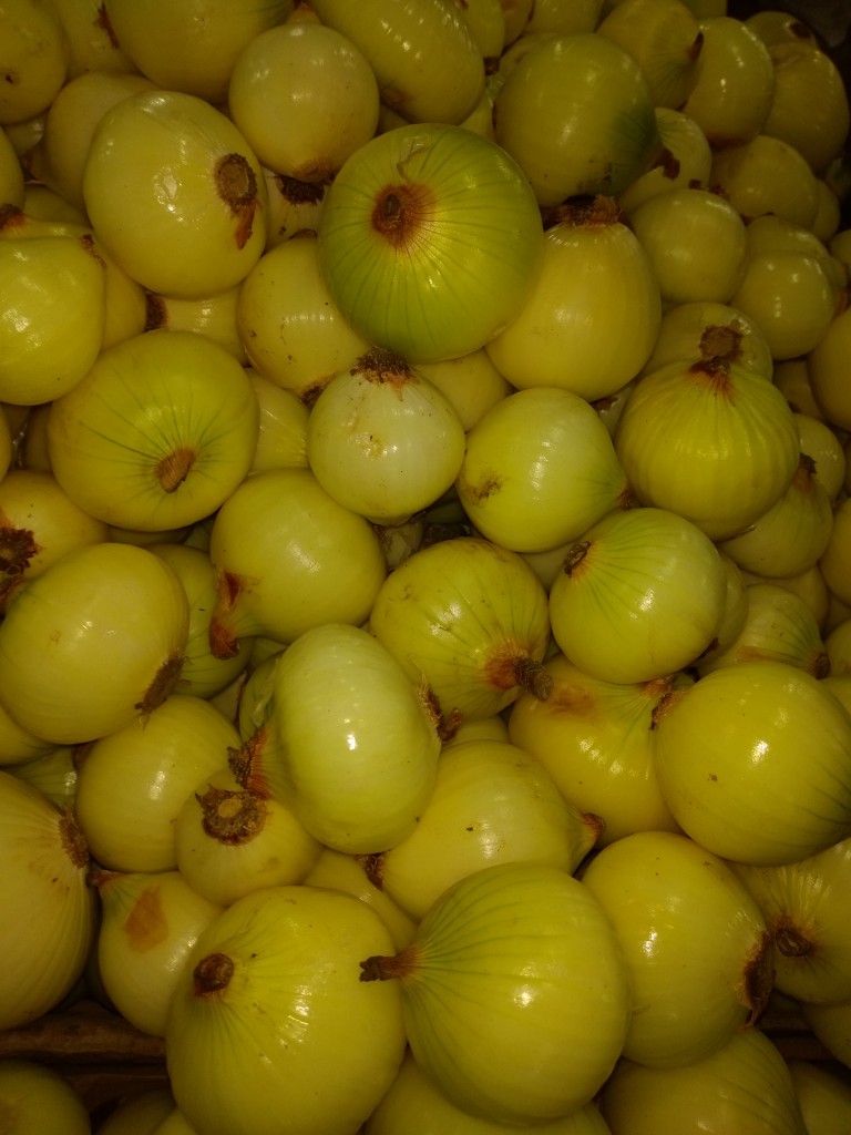 Cebolla blanca