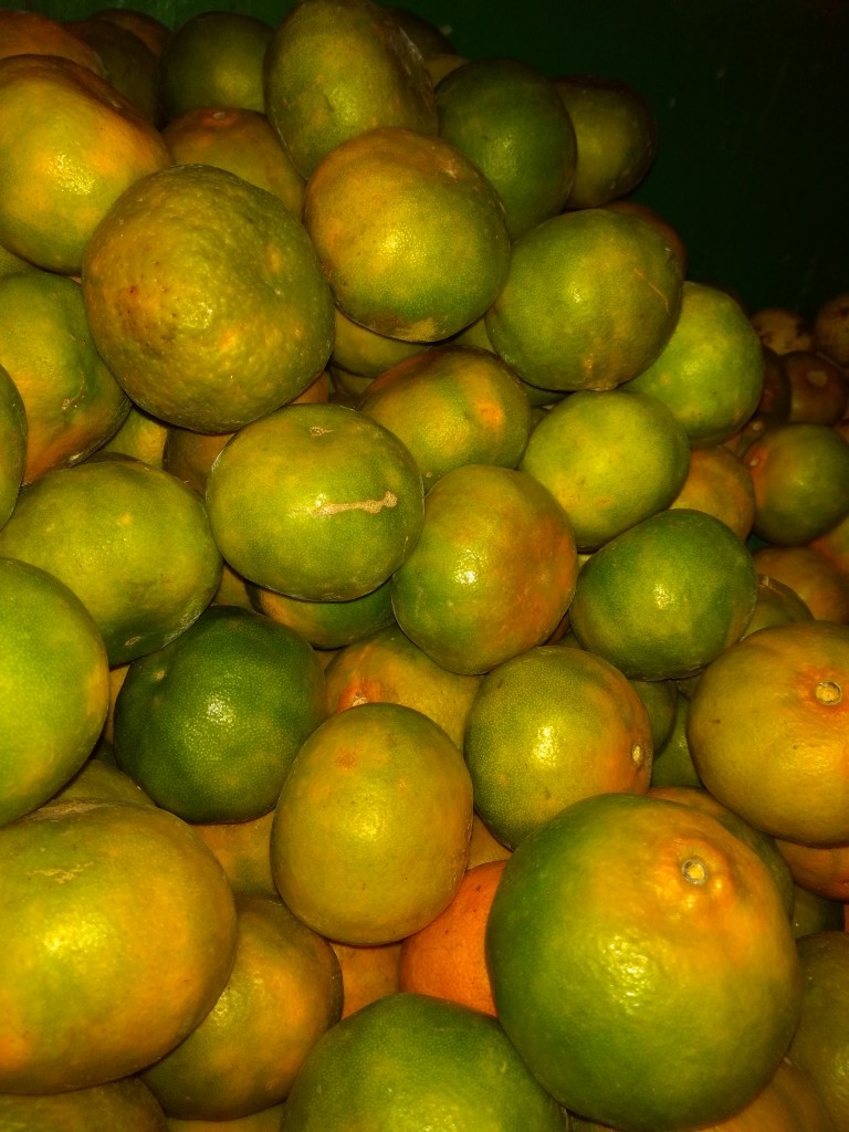Mandarina