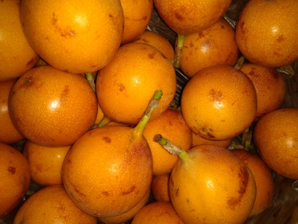 Granadilla