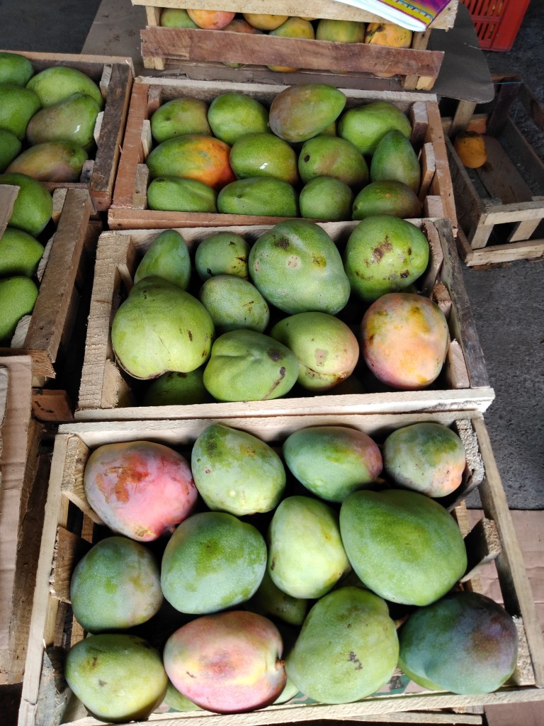 Mango manzano