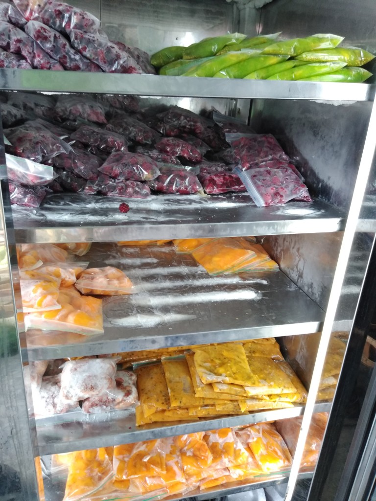 Pulpas variadas 100%fruta