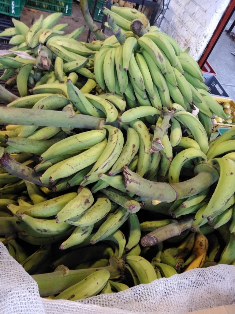 Platano harton verde