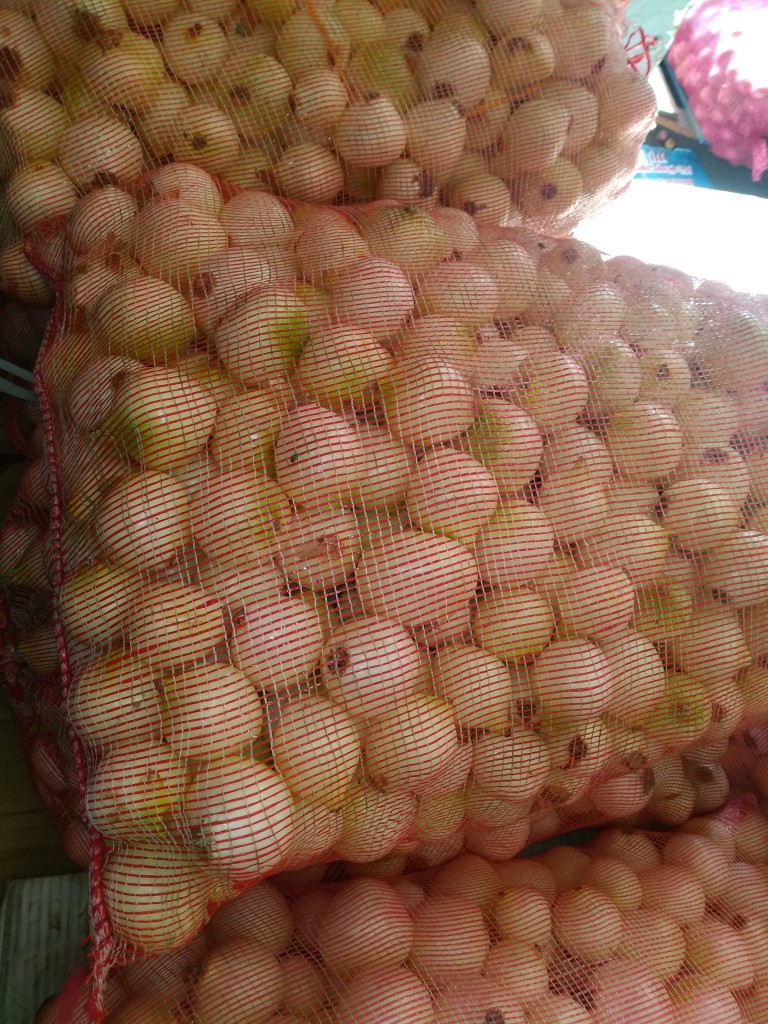 Cebolla blanca