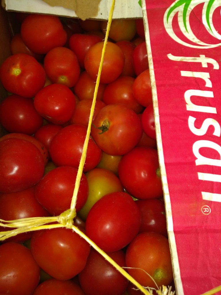 Tomate
