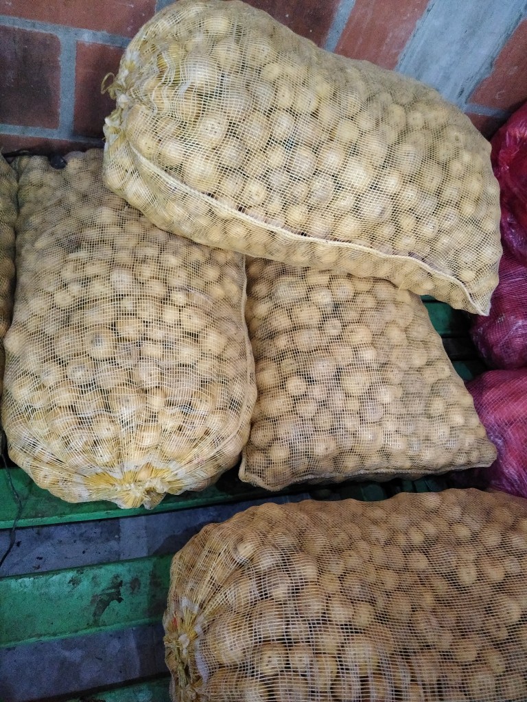 Papa criolla