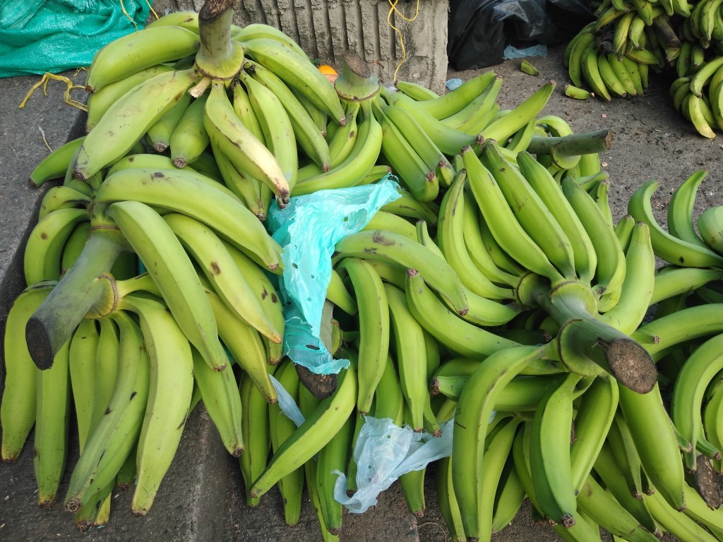 Plátano harton verde