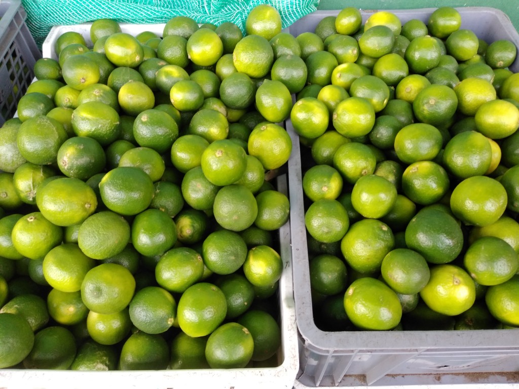 Limón Tahití