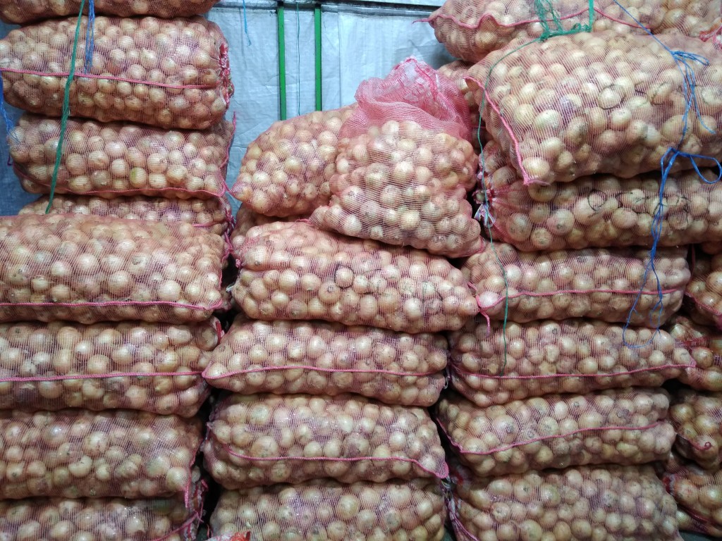 Cebolla huevo blanca