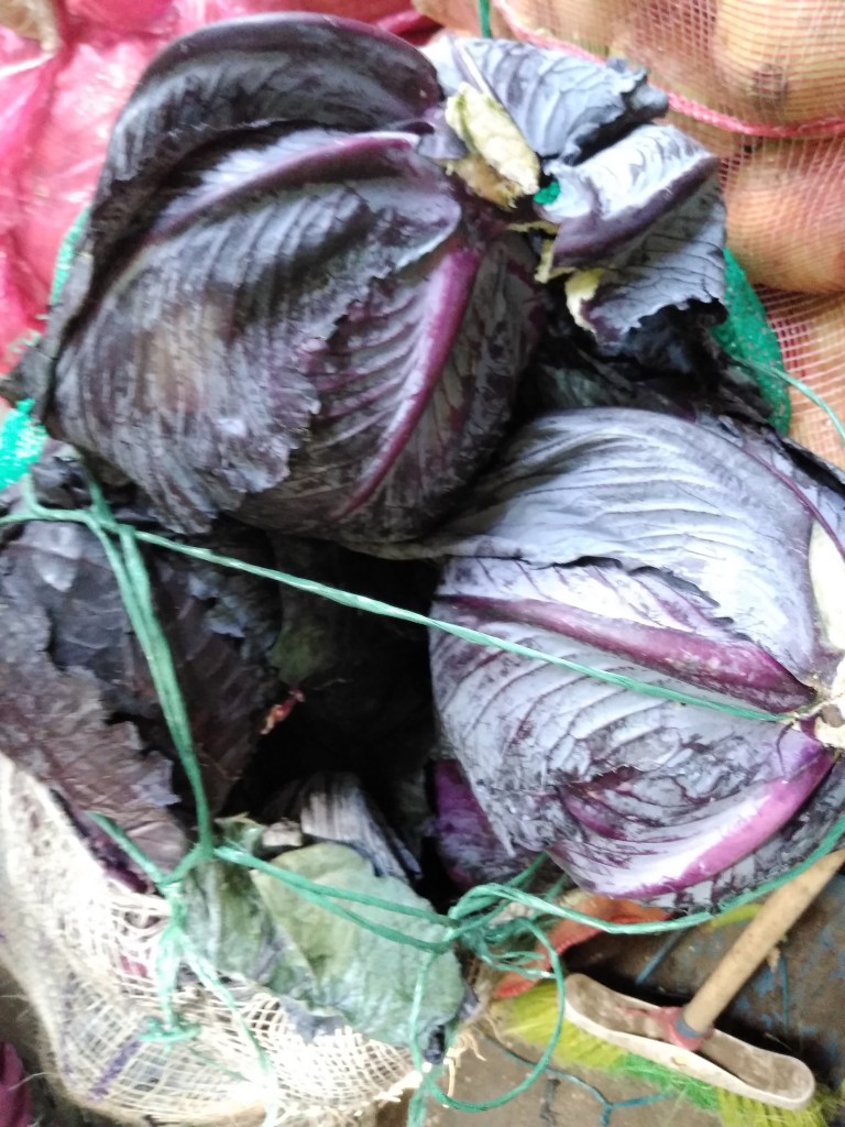Repollo morado
