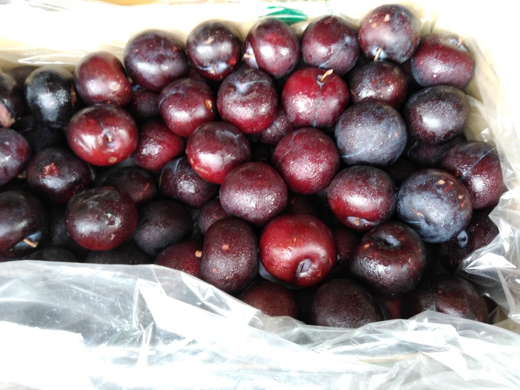 Ciruela chilena