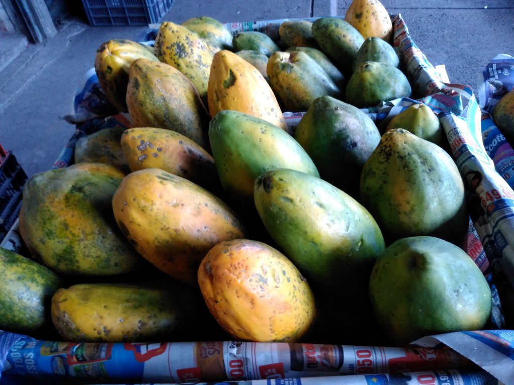 Papaya 2da