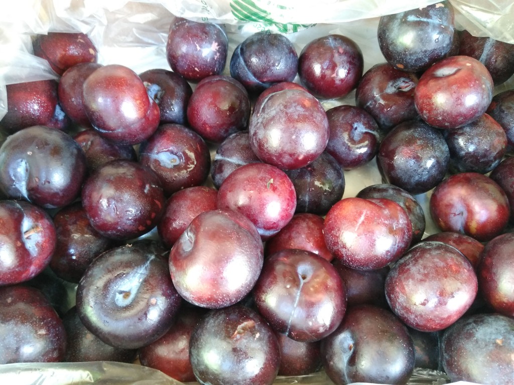 Ciruela chilena